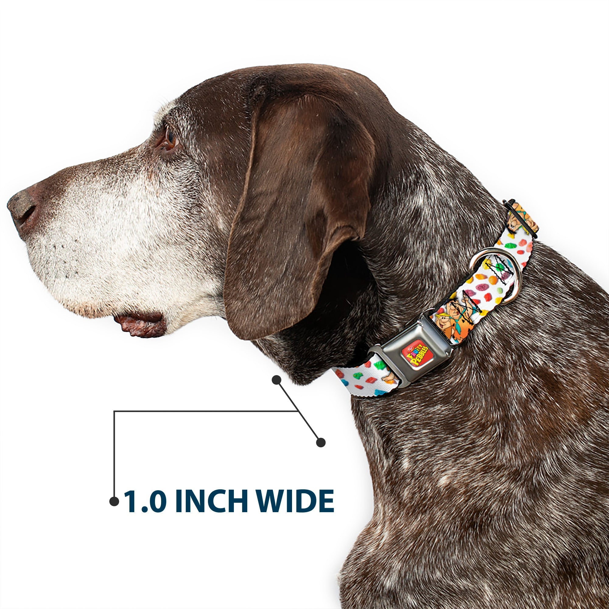 Buckle-Down Post Fruity Pebbles Logo Red/Multicolor & Fruity Pebbles Fred Flintstone and Barney Seatbelt Buckle Dog Collar