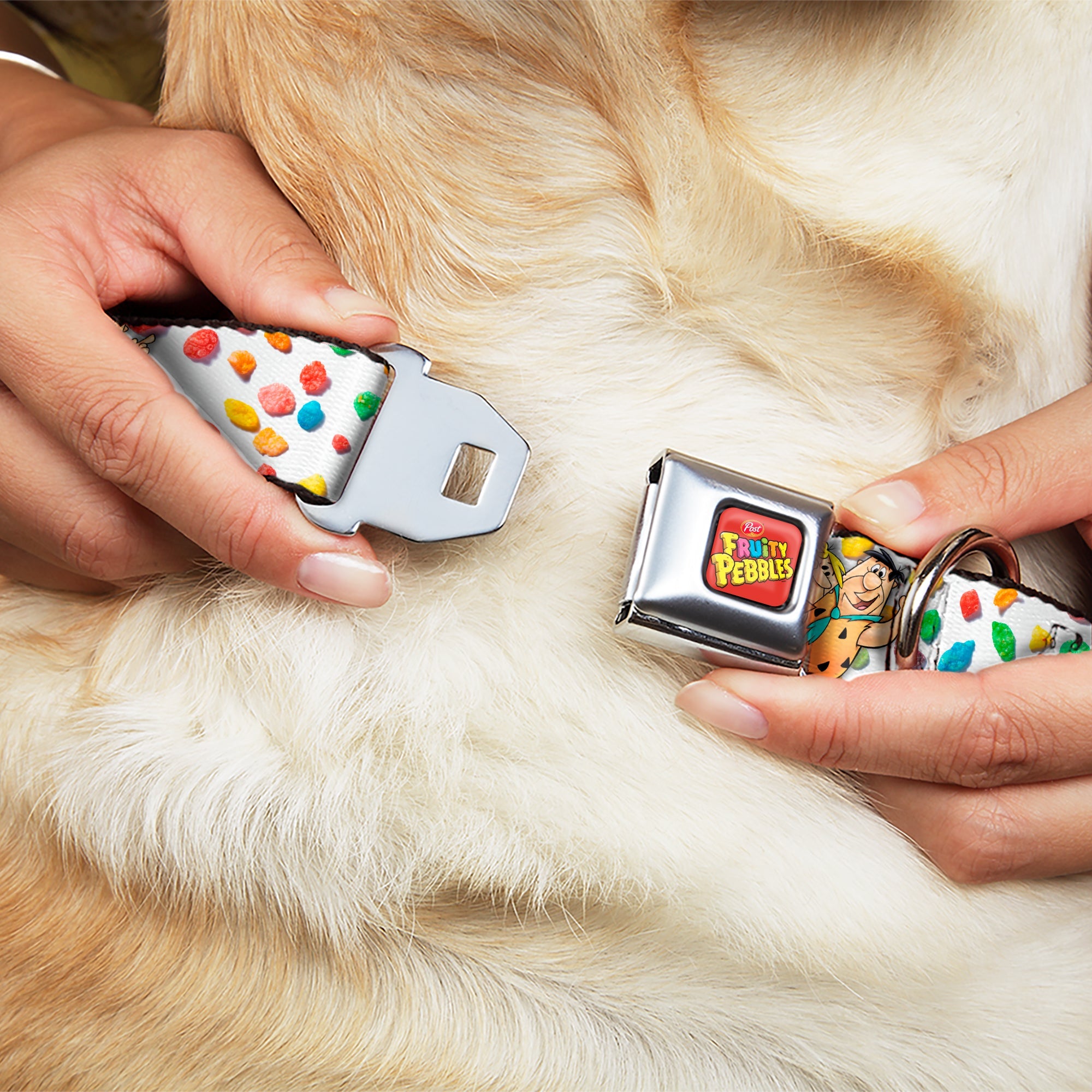 Buckle-Down Post Fruity Pebbles Logo Red/Multicolor & Fruity Pebbles Fred Flintstone and Barney Seatbelt Buckle Dog Collar