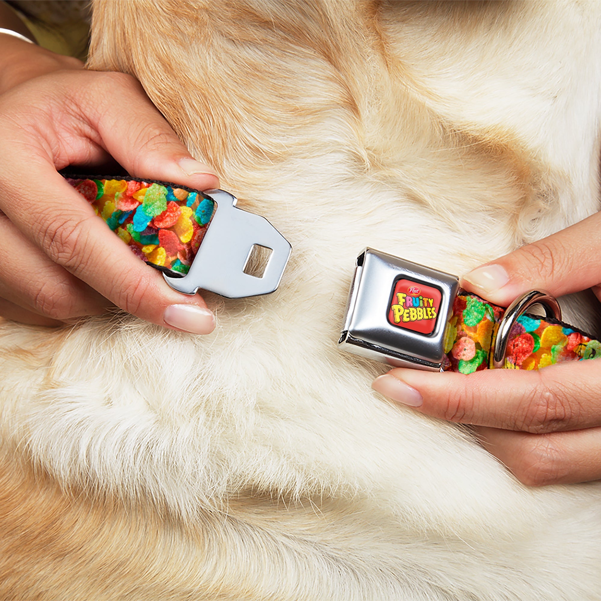 Buckle-Down Post Fruity Pebbles Logo Full Color Red/Multicolor Seatbelt Buckle Dog Collar - Fruity Pebbles Vivid Cereal Close-Up Multicolor