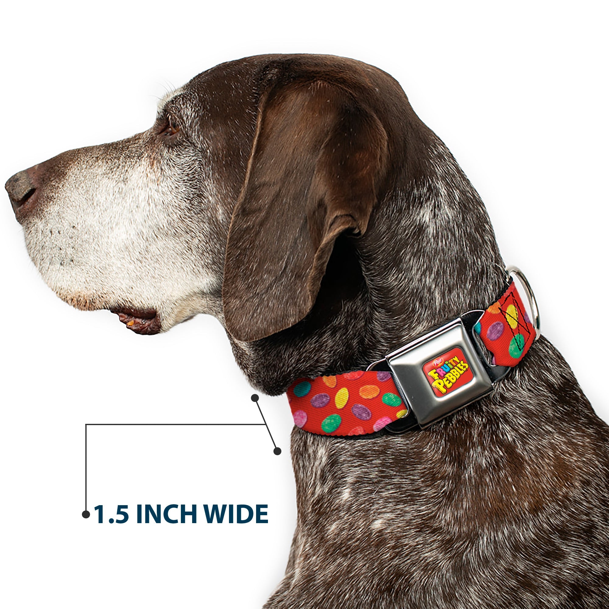 Buckle-Down Post Fruity Pebbles Logo Full Color Red/Multicolor Seatbelt Buckle Dog Collar - Fruity Pebbles Cereal Pebbles Scattered Red/Multicolor