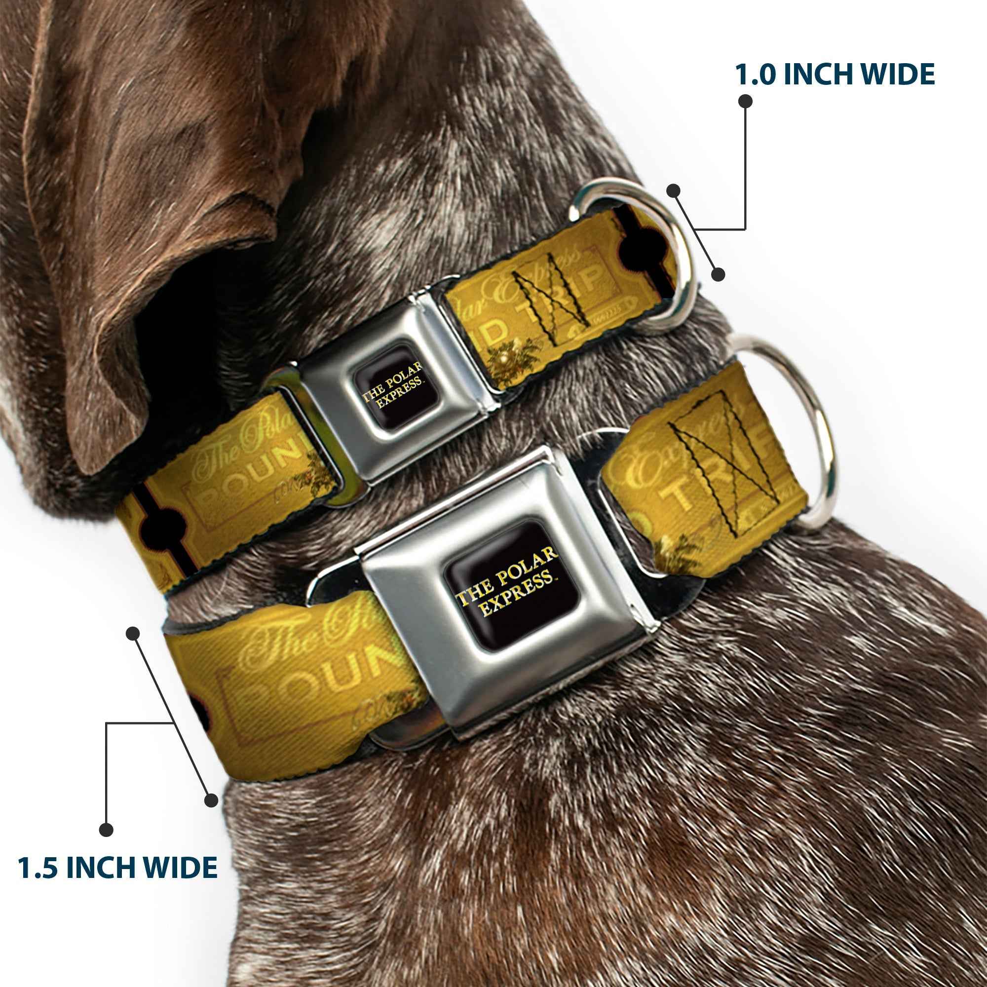 Buckle-Down The Polar Express Text Logo Full Color Black/Golds Seatbelt Buckle Dog Collar - The Polar Express Round Trip Ticket Black/Golds