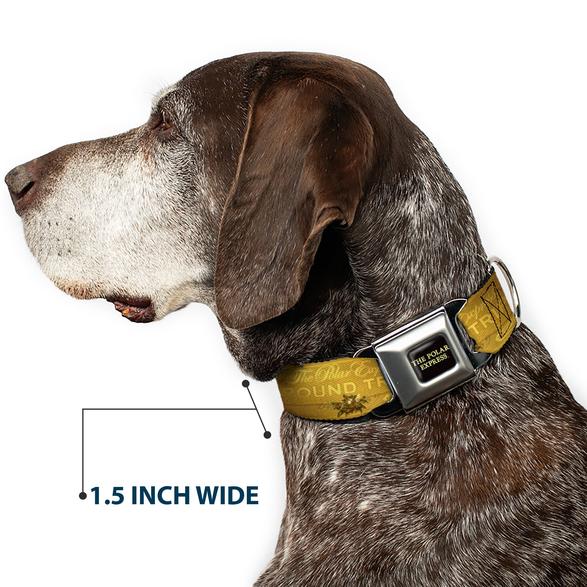 Buckle-Down The Polar Express Text Logo Full Color Black/Golds Seatbelt Buckle Dog Collar - The Polar Express Round Trip Ticket Black/Golds