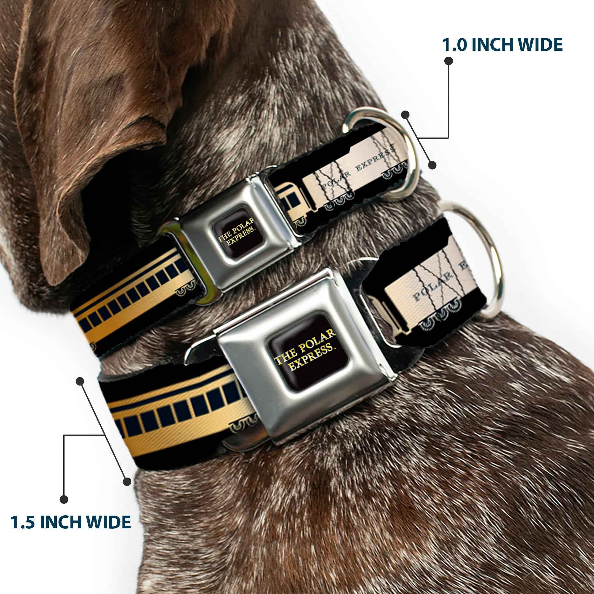 Buckle-Down The Polar Express Text Logo Full Color Black/Golds Seatbelt Buckle Dog Collar - Polar Express Train Cars Black/Golds