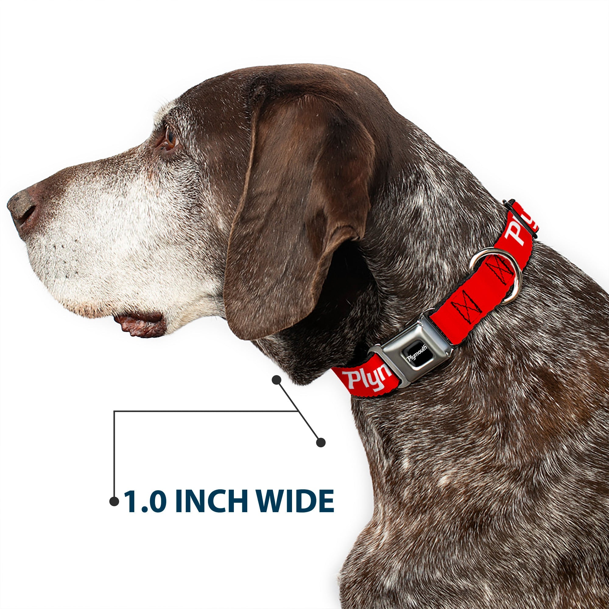 Buckle-Down Plymouth Text Logo Full Color Black/White Seatbelt Buckle Dog Collar - Plymouth Text Logo Red/White
