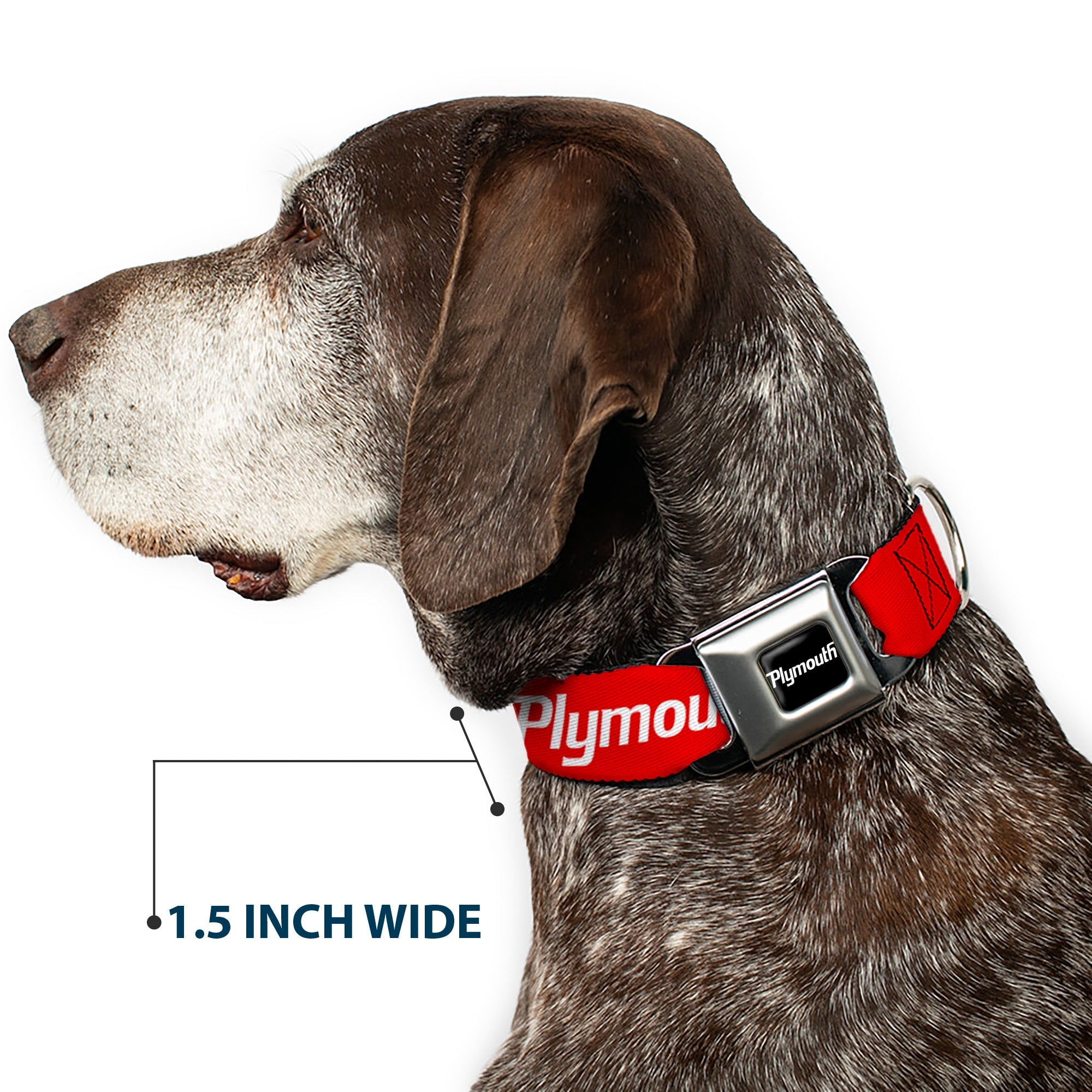 Buckle-Down Plymouth Text Logo Full Color Black/White Seatbelt Buckle Dog Collar - Plymouth Text Logo Red/White