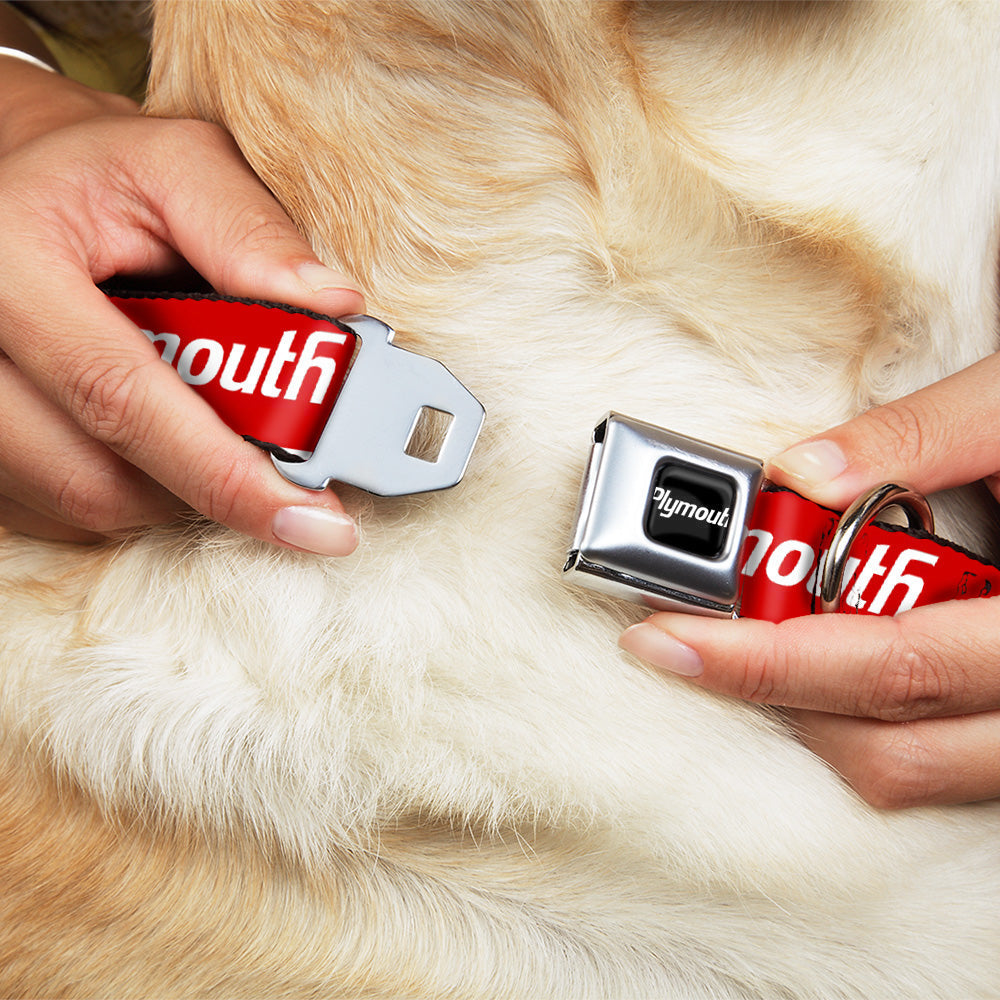 Buckle-Down Plymouth Text Logo Full Color Black/White Seatbelt Buckle Dog Collar - Plymouth Text Logo Red/White