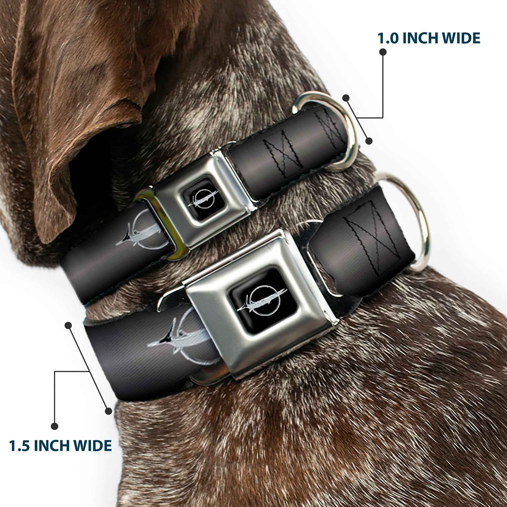 Buckle-Down Barracuda Emblem Full Color Black/Silver Seatbelt Buckle Dog Collar - Barracuda Emblem Repeat Gray Fade/Silver