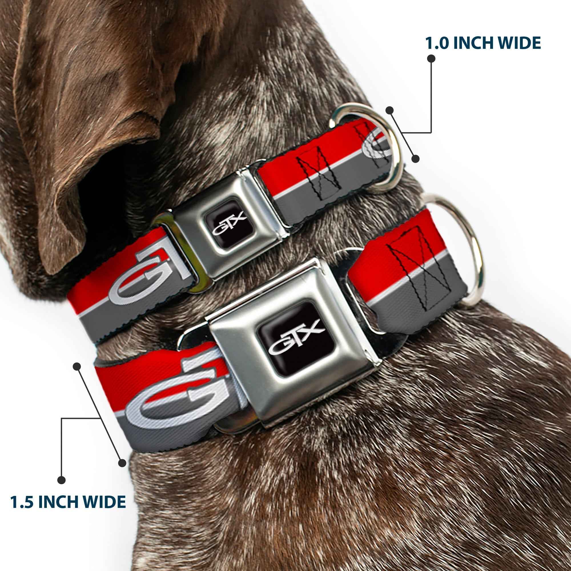 Buckle-Down Plymouth Gtx Emblem Full Color Black/Silver Fade/White Seatbelt Buckle Dog Collar - Plymouth Gtx Emblem/Stripe Red/White/Grays