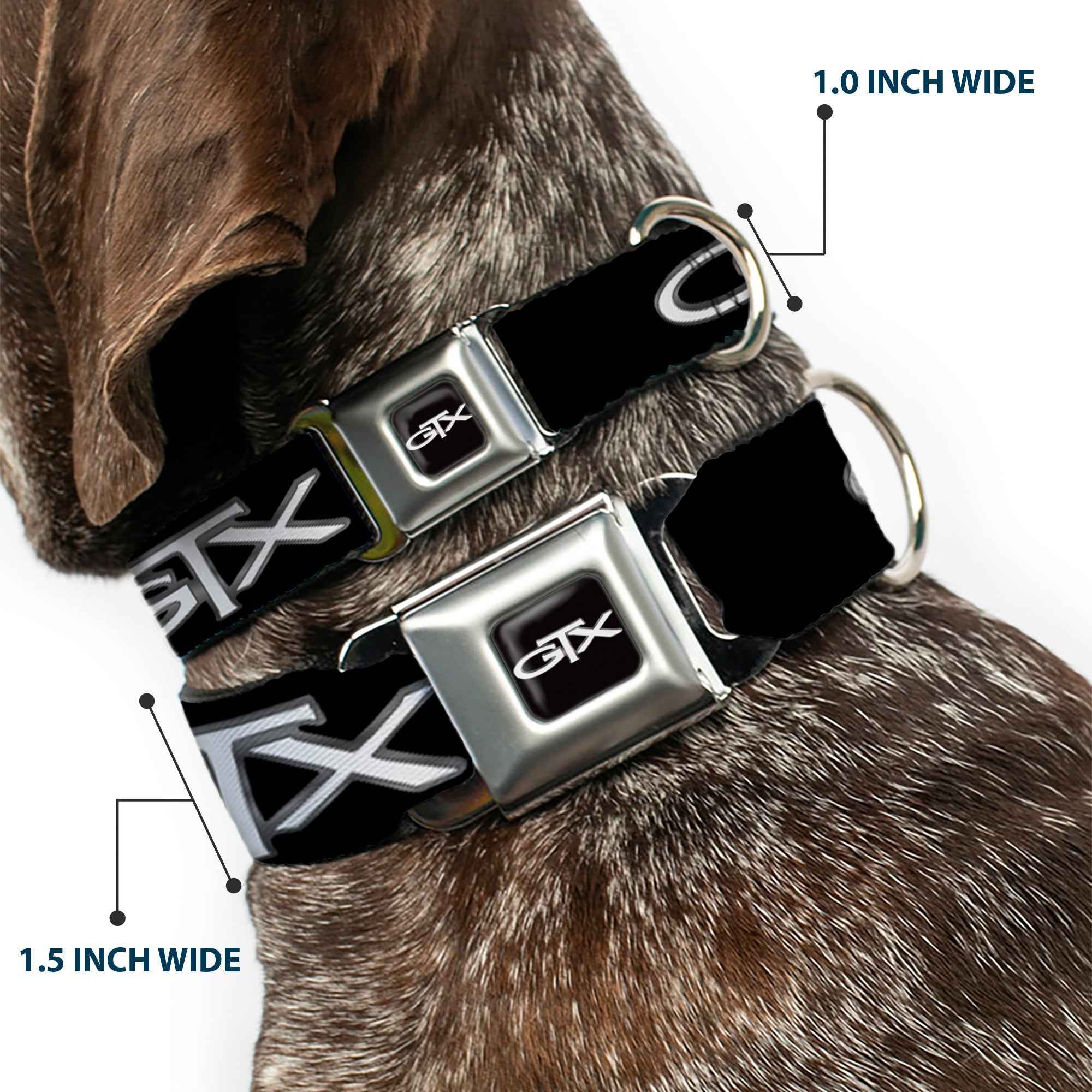 Buckle-Down Plymouth Gtx Emblem Full Color Black/Silver Fade/White Seatbelt Buckle Dog Collar - Plymouth Gtx Emblem Black/Silver Fade/White