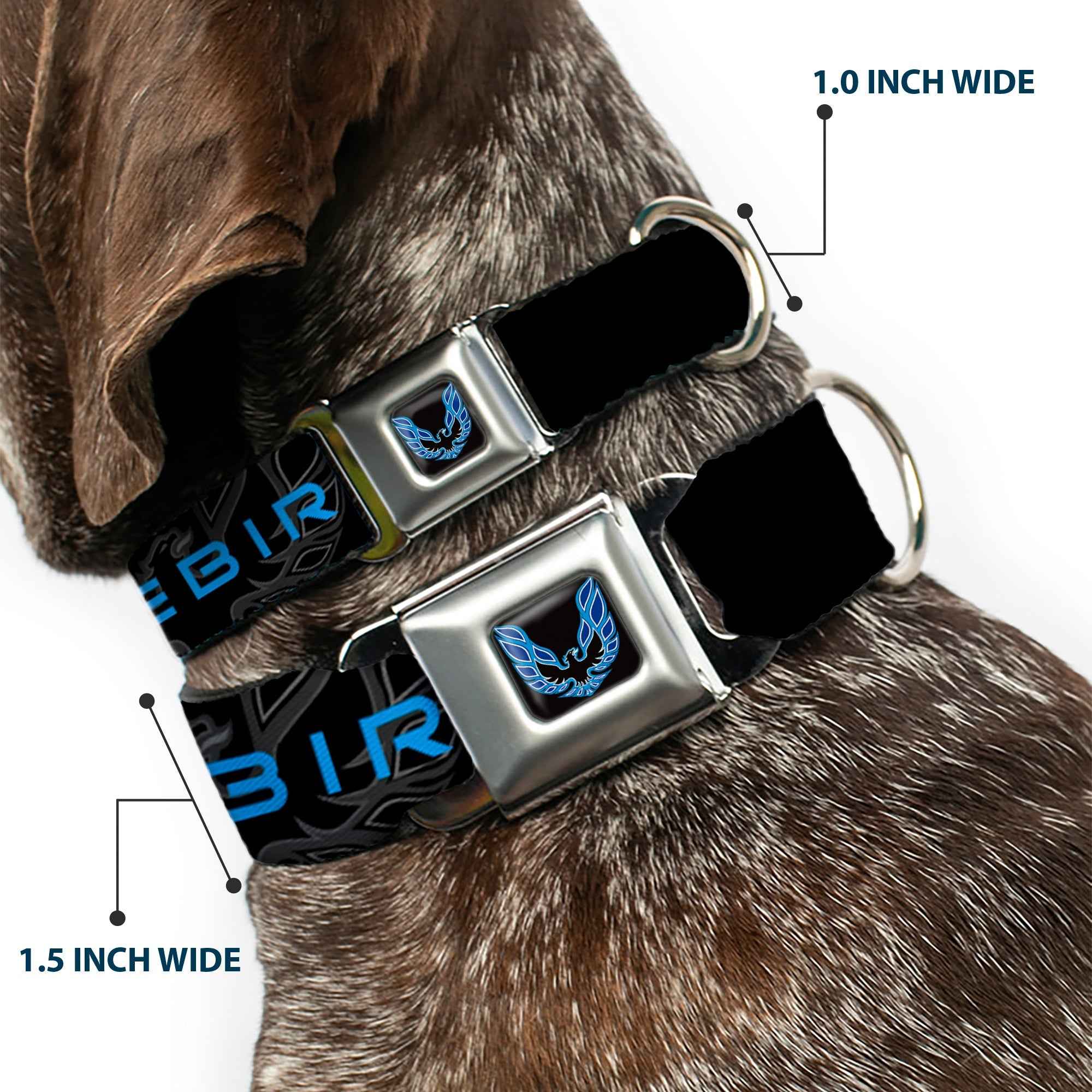 Pontiac Firebird Logo Black/Blues Seatbelt Buckle Collar - Pontiac FIREBIRD/Logo Black/Grays/Blues