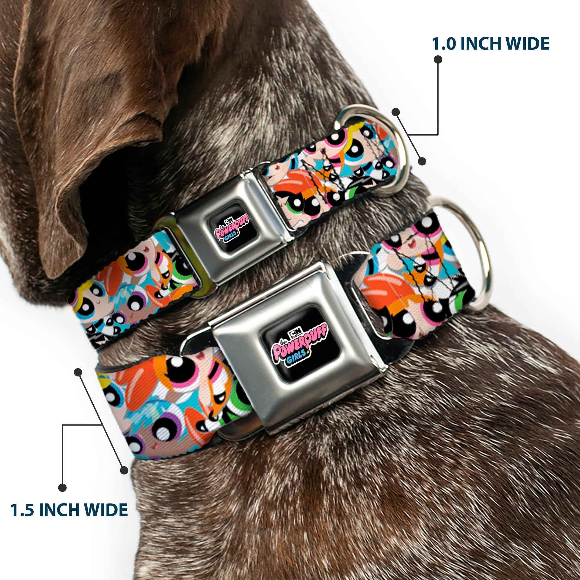 Buckle-Down The Powerpuff Girls Animated Series Title Logo Full Color Black Seatbelt Buckle Dog Collar - The Powerpuff Girls Expressions Stacked
