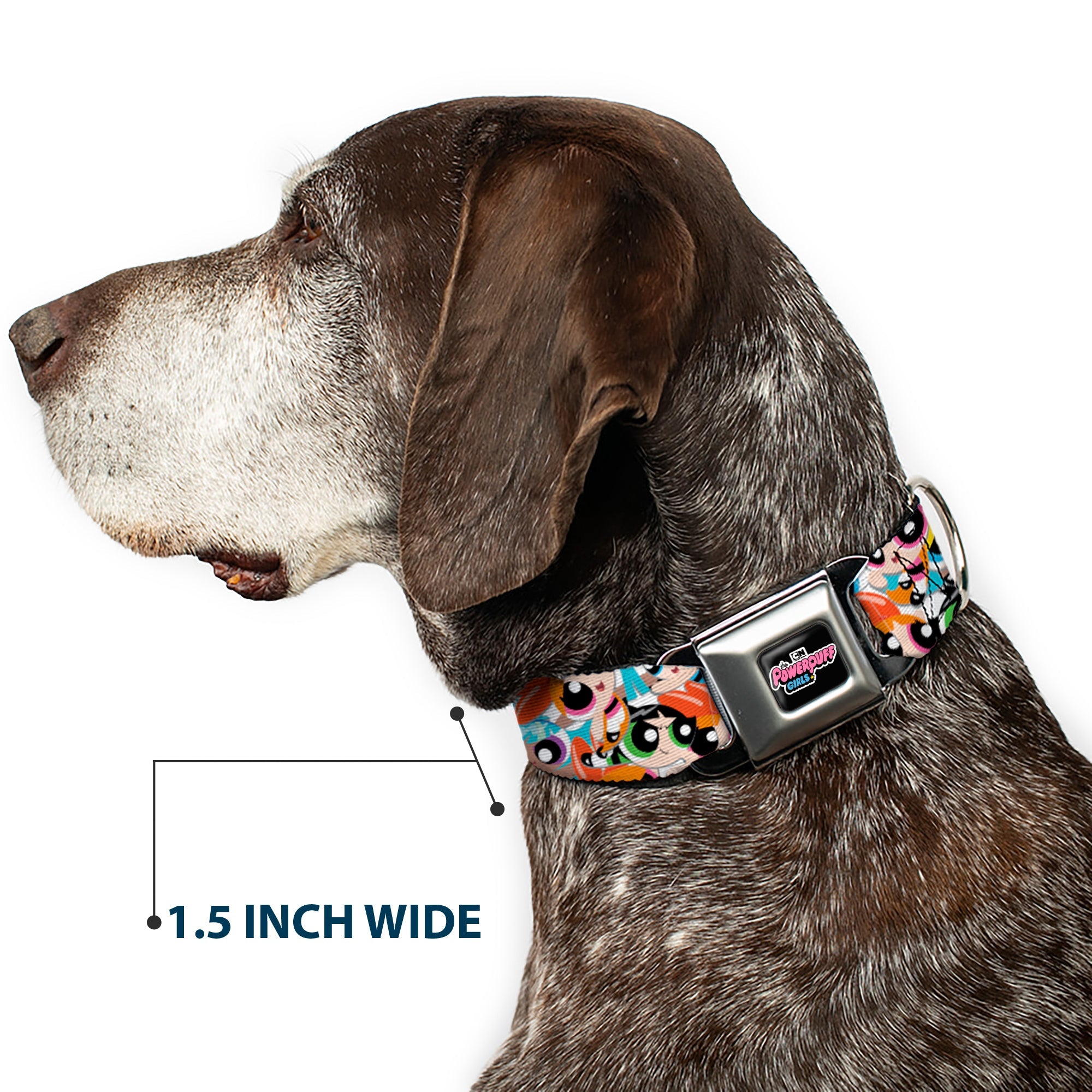 Buckle-Down The Powerpuff Girls Animated Series Title Logo Full Color Black Seatbelt Buckle Dog Collar - The Powerpuff Girls Expressions Stacked