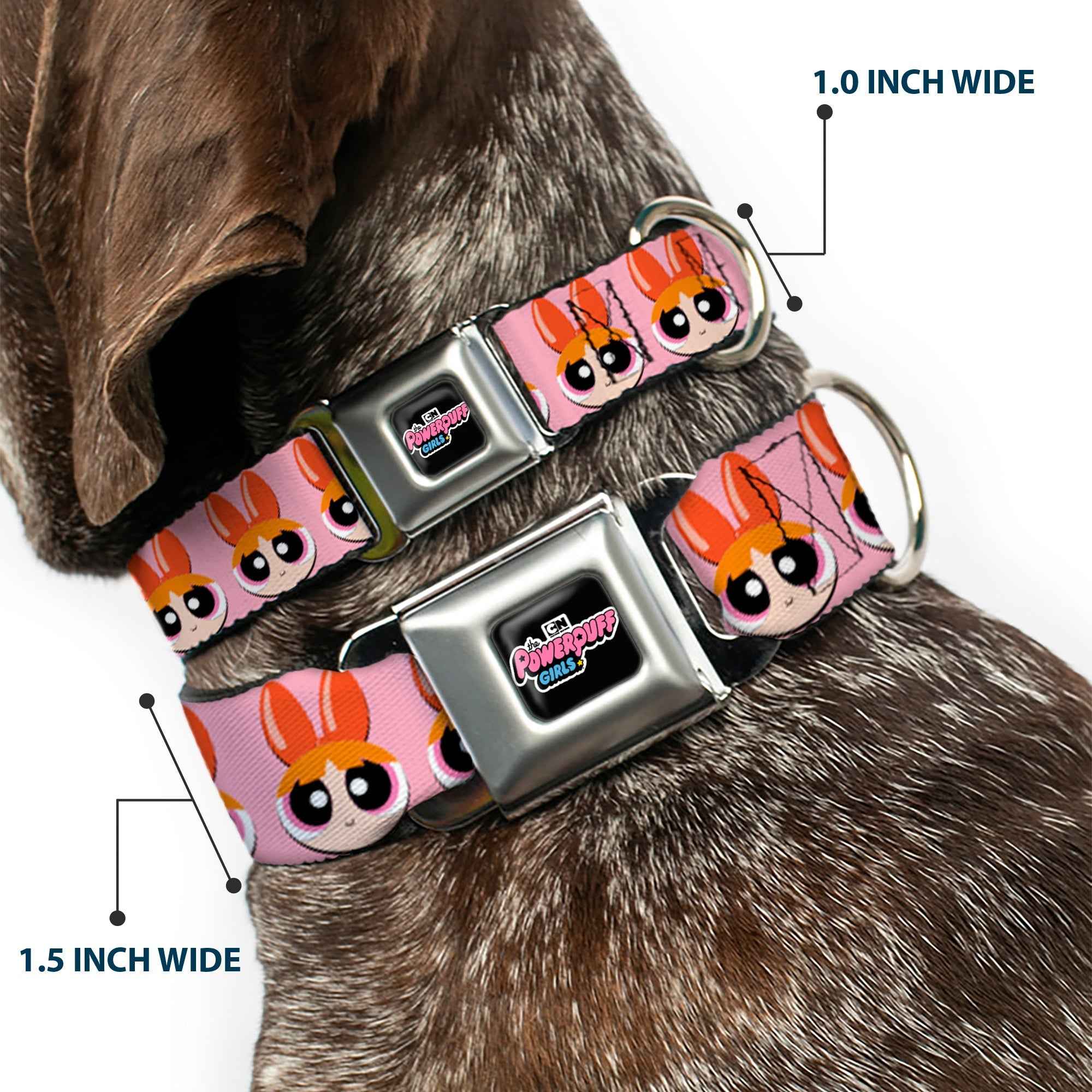 Buckle-Down The Powerpuff Girls Animated Series Title Logo Black & Blossom Face Close-Up Pink Seatbelt Buckle Dog Collar