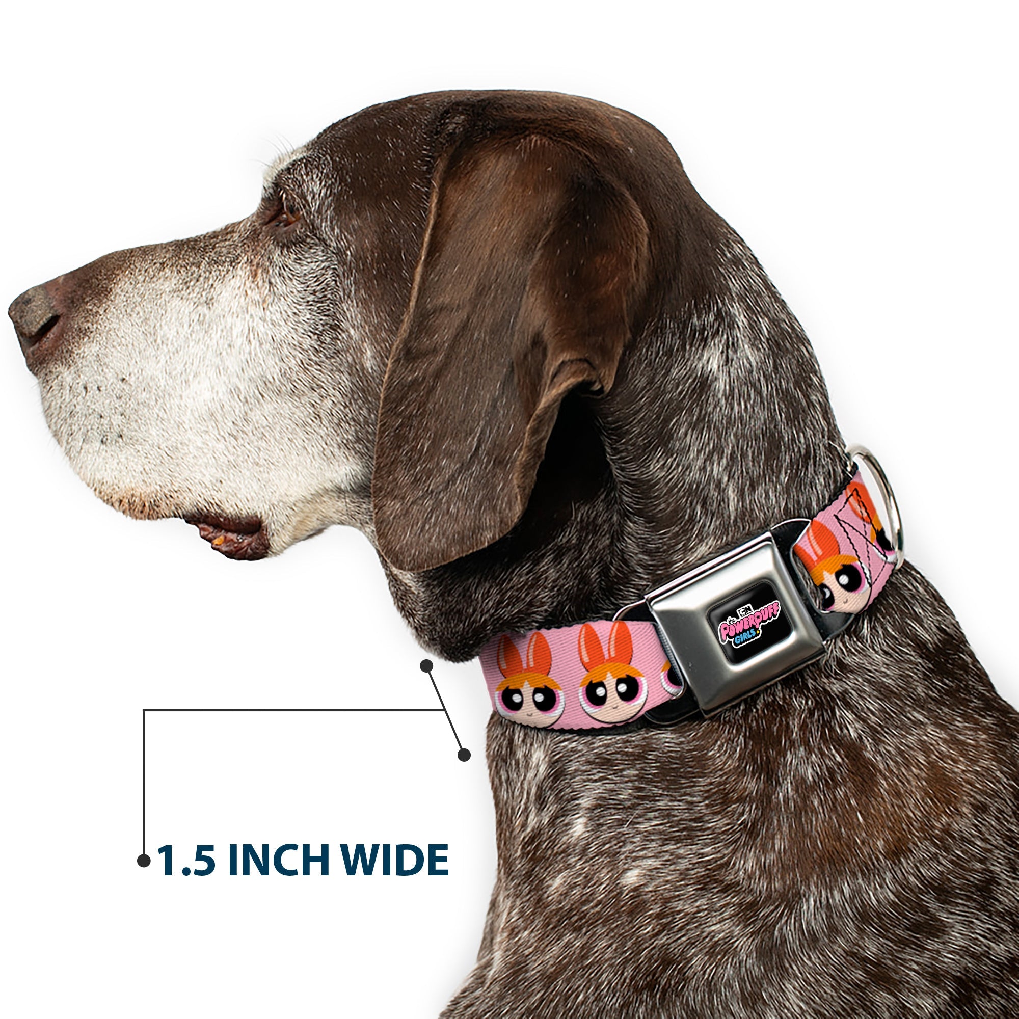 Buckle-Down The Powerpuff Girls Animated Series Title Logo Black & Blossom Face Close-Up Pink Seatbelt Buckle Dog Collar