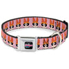 Buckle-Down The Powerpuff Girls Animated Series Title Logo Black & Blossom Face Close-Up Pink Seatbelt Buckle Dog Collar