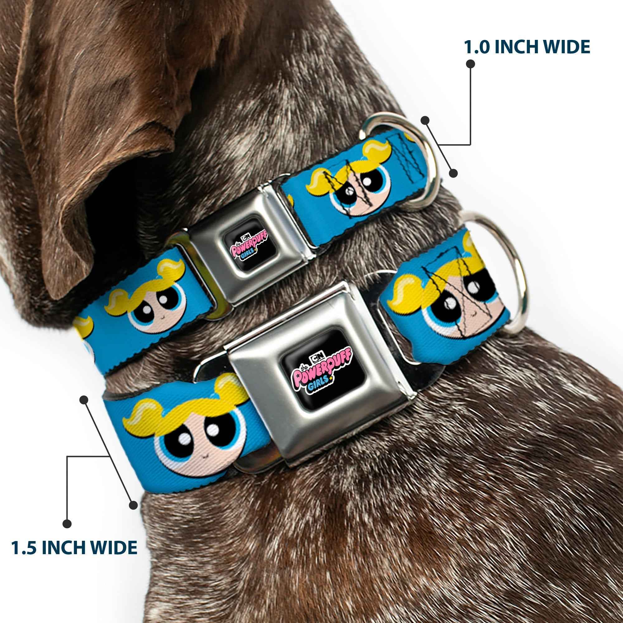 Buckle-Down The Powerpuff Girls Animated Series Title Logo Black & Bubbles Face Close-Up Blue Seatbelt Buckle Dog Collar