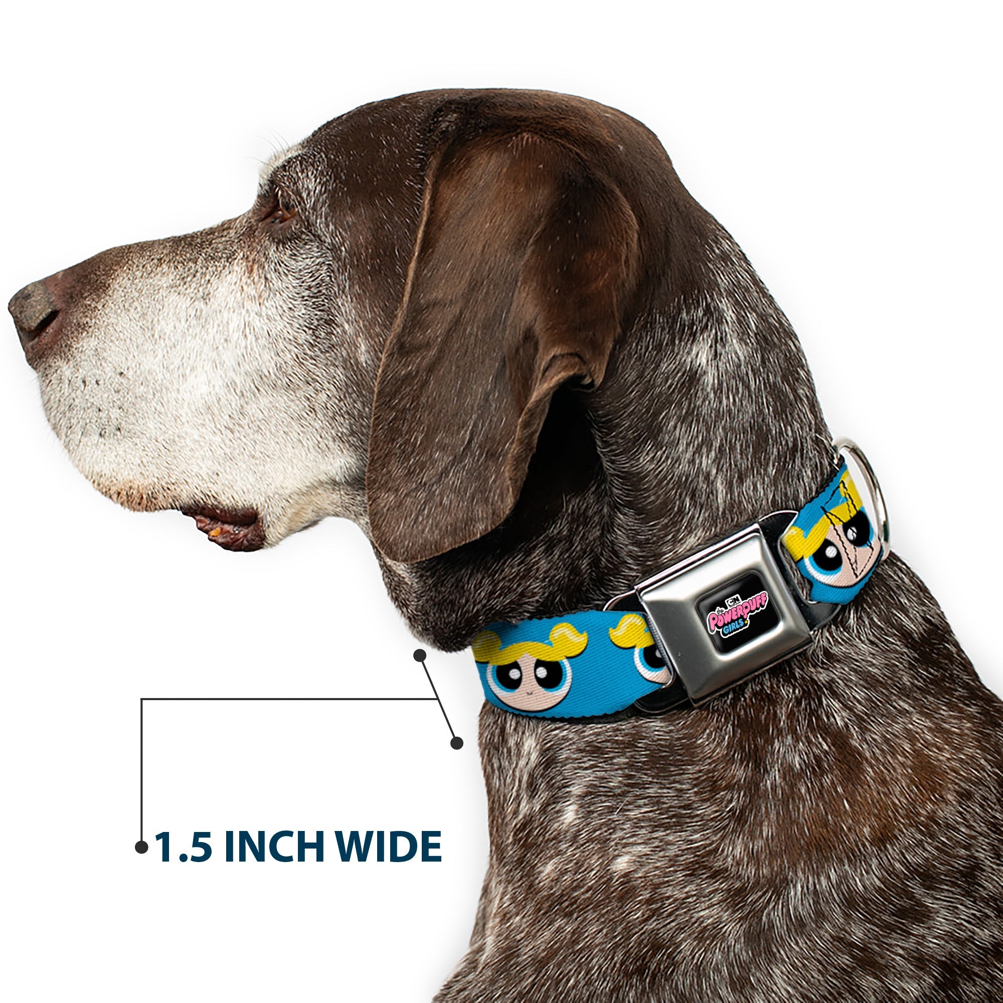 Buckle-Down The Powerpuff Girls Animated Series Title Logo Black & Bubbles Face Close-Up Blue Seatbelt Buckle Dog Collar