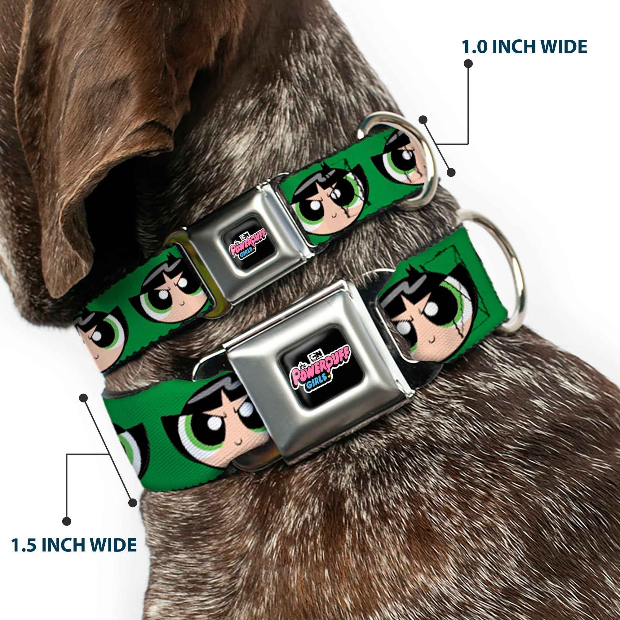 Buckle-Down The Powerpuff Girls Animated Series Title Logo Black & Buttercup Face Close-Up Green Seatbelt Buckle Dog Collar