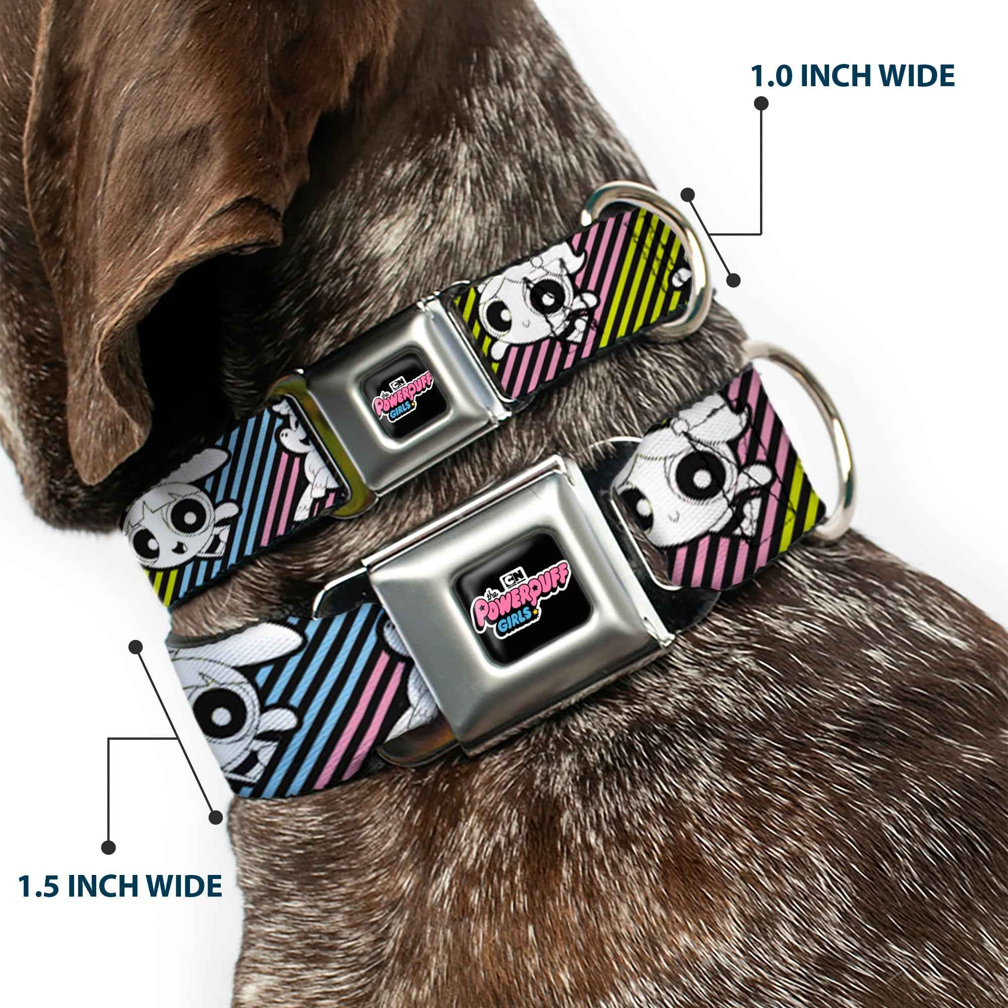 Buckle-Down The Powerpuff Girls Animated Series Title Logo Black & and Donny Stripe Black/Multi Pastel Seatbelt Buckle Dog Collar