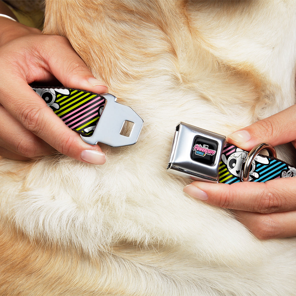 Buckle-Down The Powerpuff Girls Animated Series Title Logo Black & and Donny Stripe Black/Multi Pastel Seatbelt Buckle Dog Collar