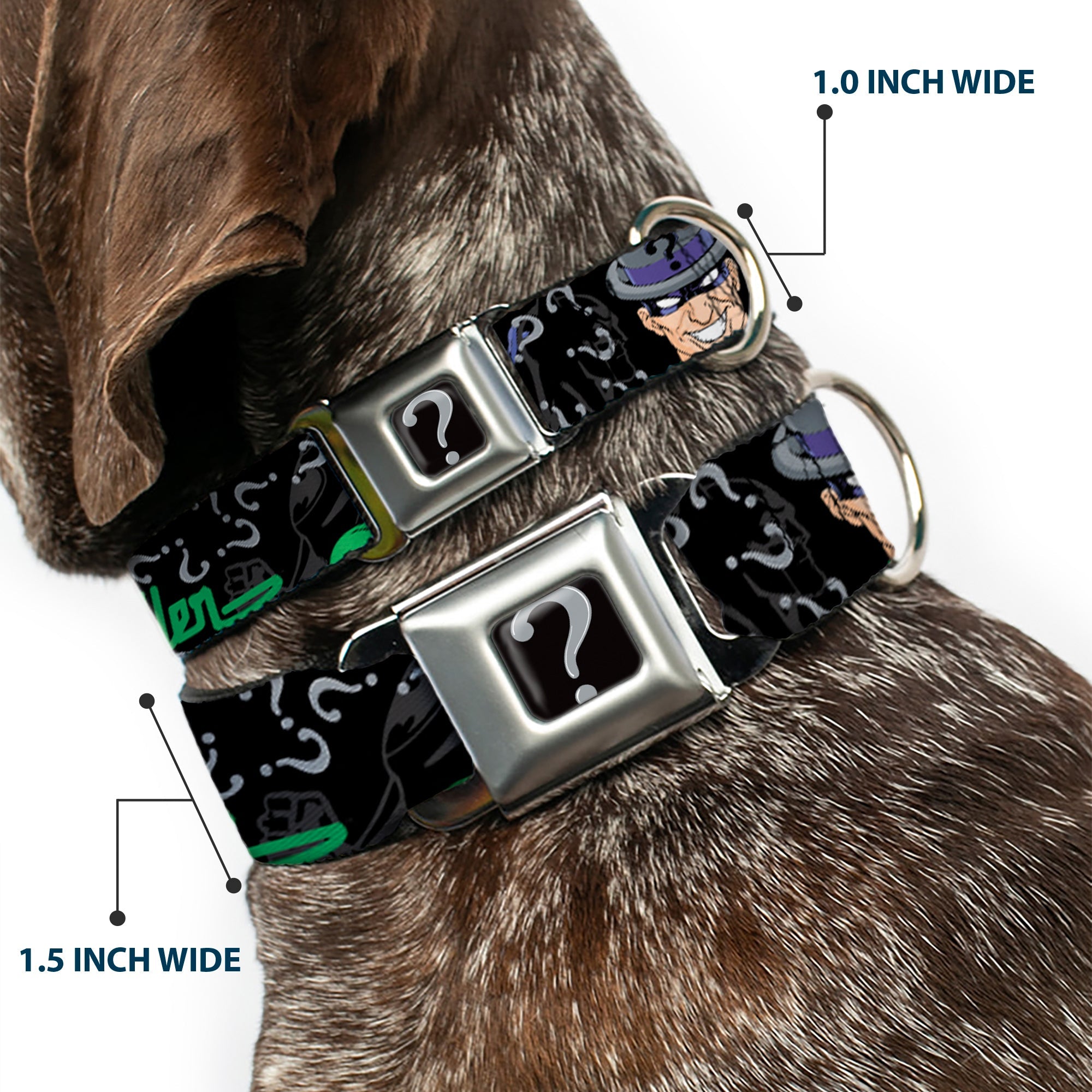 Riddler "?" Black/Silver Seatbelt Buckle Collar - The Riddler w/Batman Silhouette