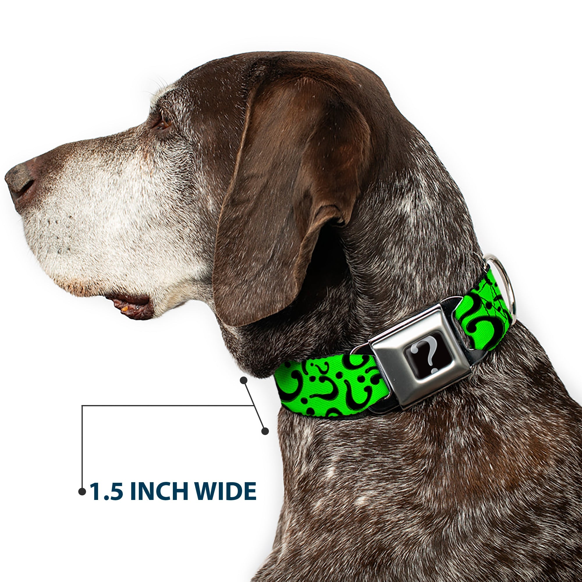 Riddler "?" Black Silver Seatbelt Buckle Collar - Question Mark Scattered Lime Green/Black