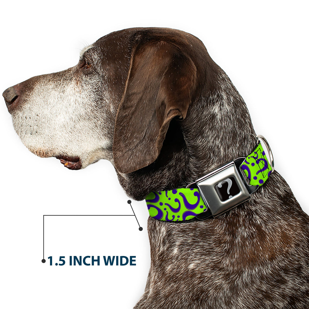 Riddler "?" Black Silver Seatbelt Buckle Collar - Question Mark Scattered Lime Green/Purple