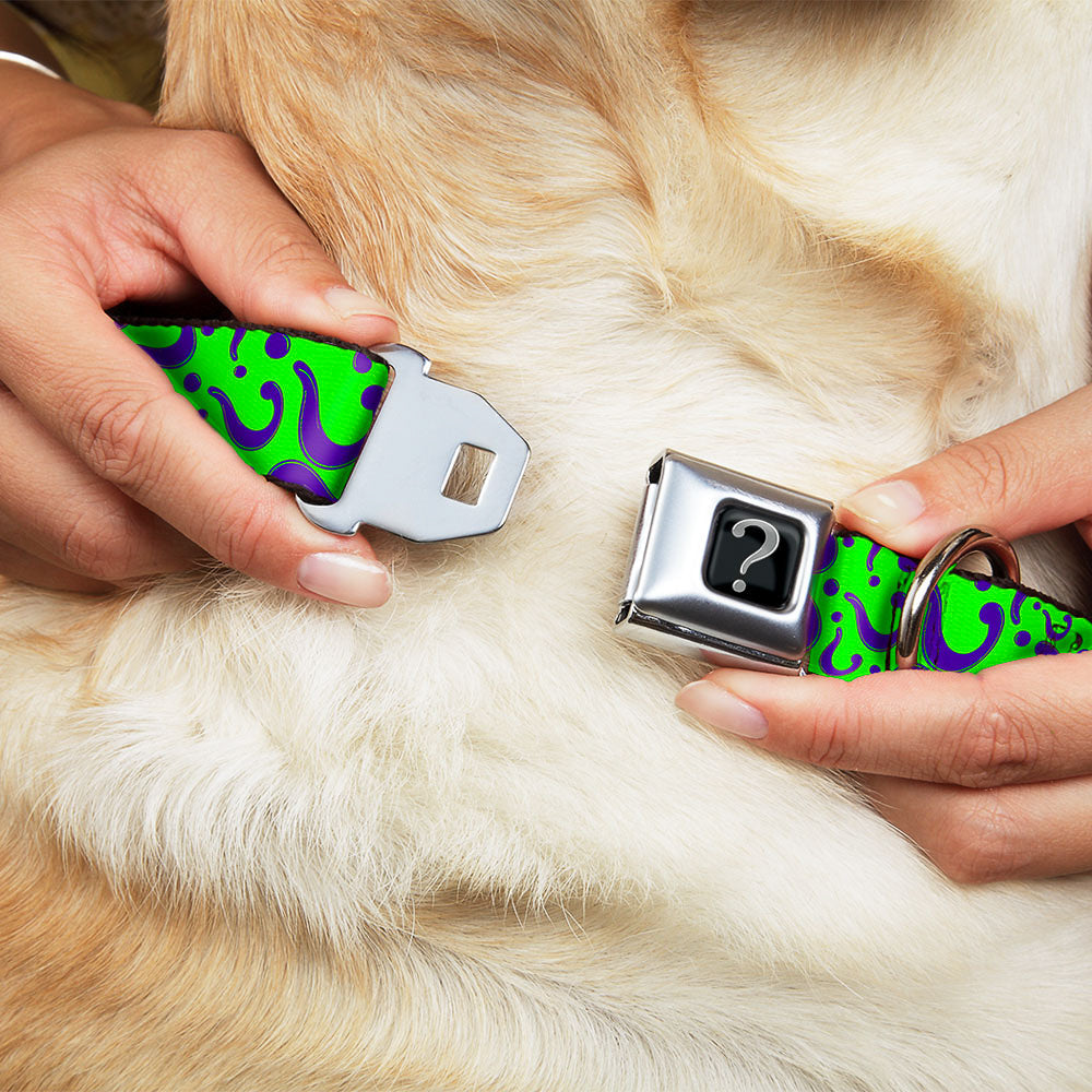 Riddler "?" Black Silver Seatbelt Buckle Collar - Question Mark Scattered Lime Green/Purple