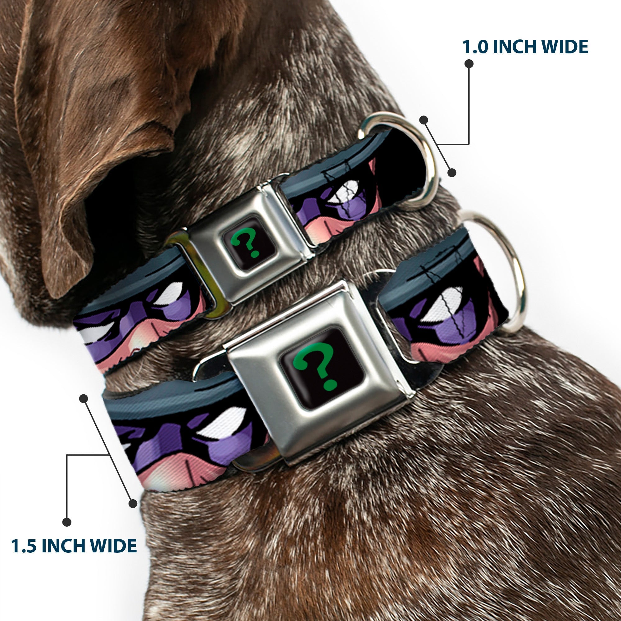 Riddler "?" Black/Green Seatbelt Buckle Collar - THE RIDDLER/Face CLOSE-UP Black/Green