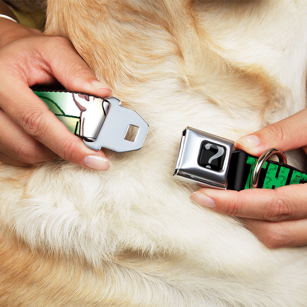 Riddler "?" Black/Green Seatbelt Buckle Collar - THE RIDDLER/Face CLOSE-UP Black/Green