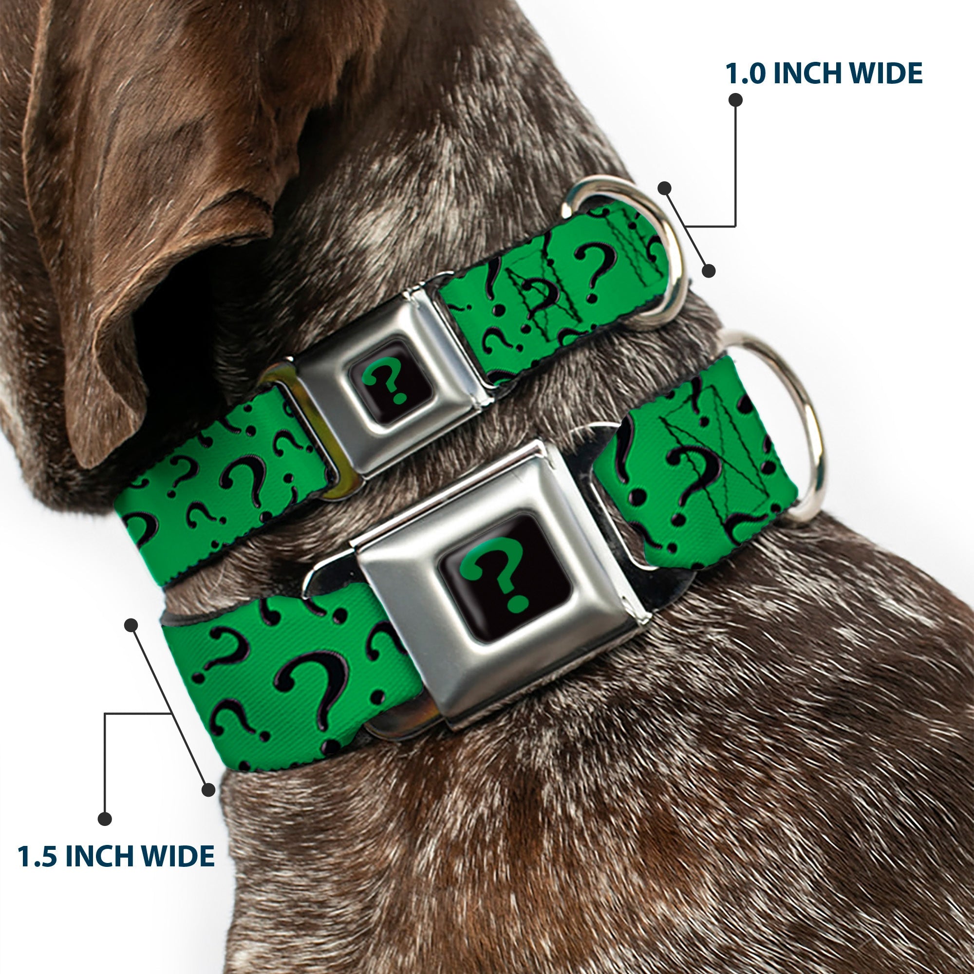 Riddler "?" Black/Green Seatbelt Buckle Collar - Question Mark Scattered3 Dark Green/Black