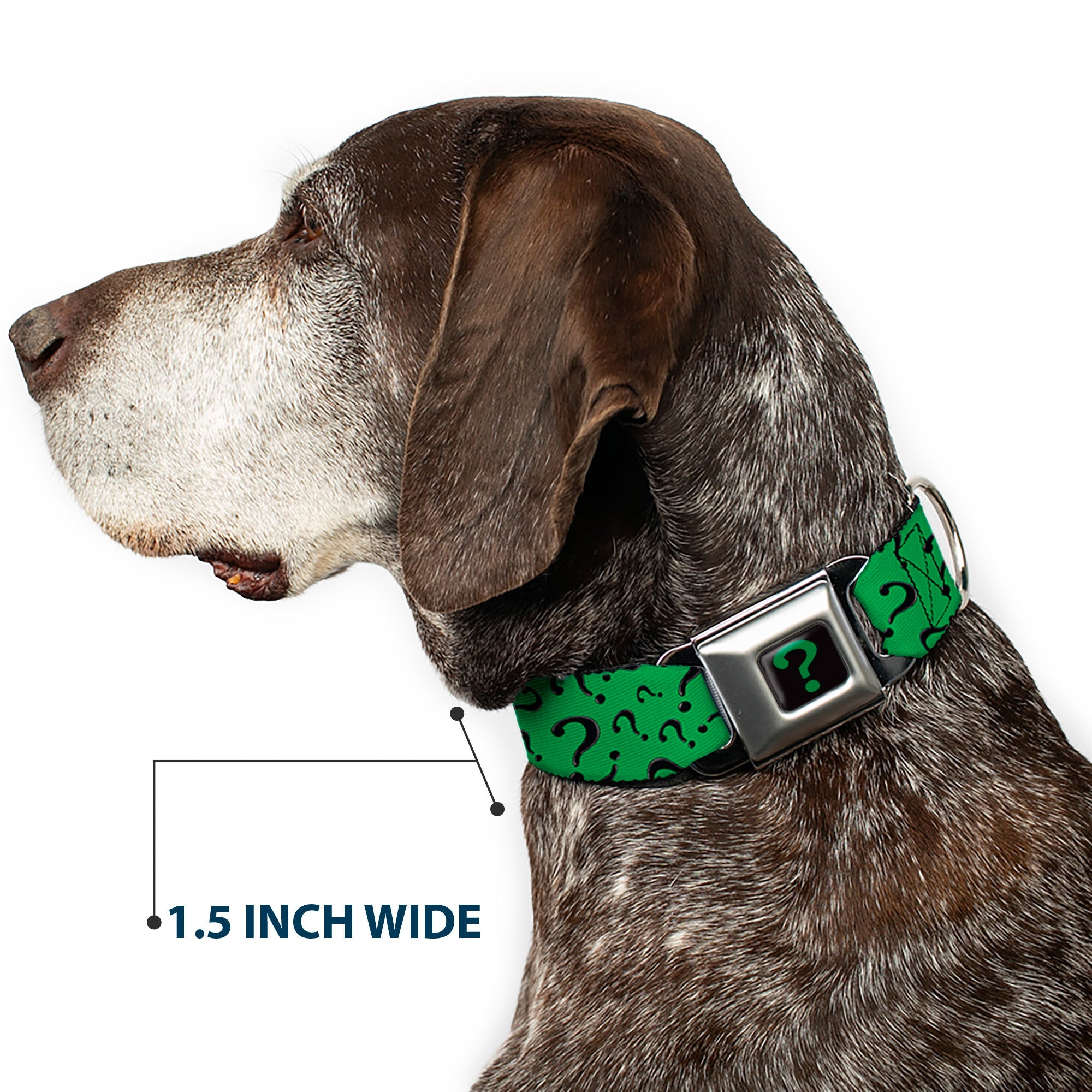 Riddler "?" Black/Green Seatbelt Buckle Collar - Question Mark Scattered3 Dark Green/Black