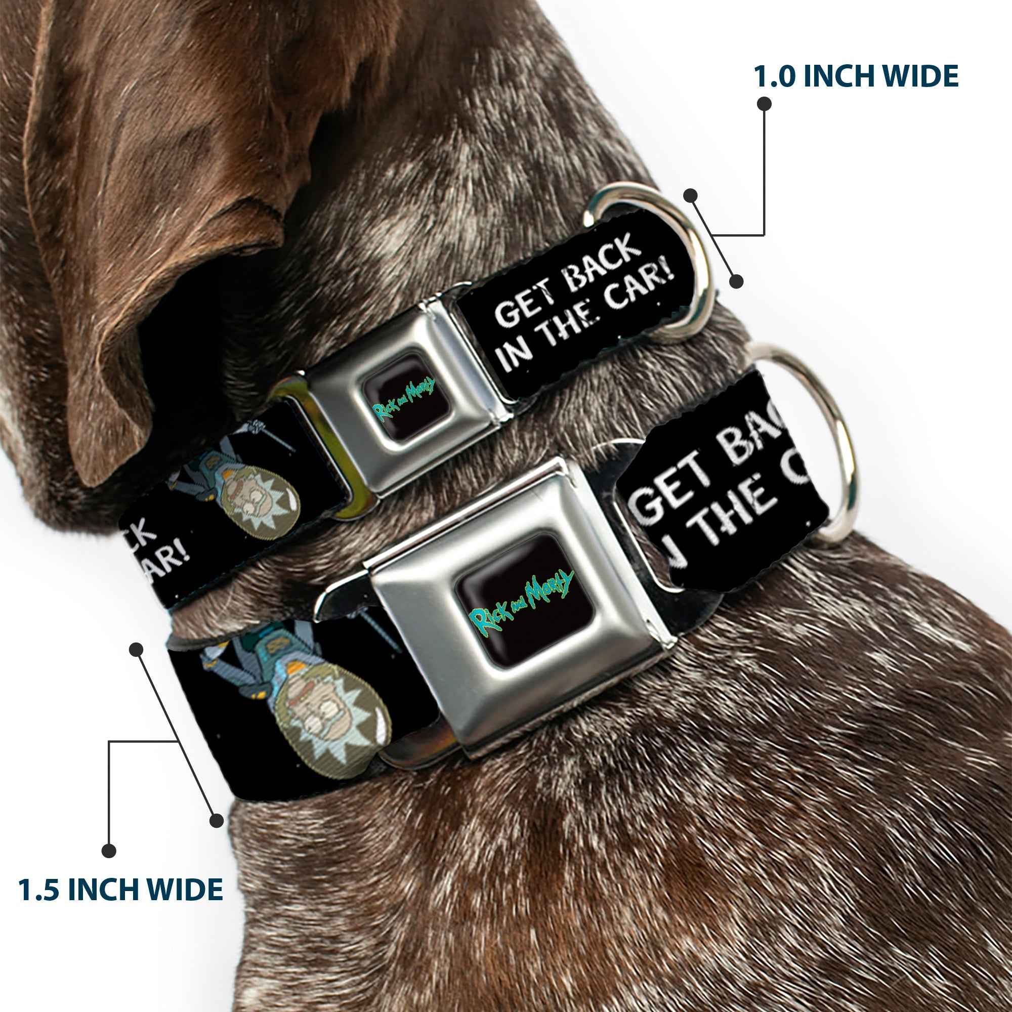Buckle-Down Rick And Morty Text Logo Full Color Black/Blue Seatbelt Buckle Dog Collar - Rick and Morty Rick Get Back In The Car Pose Black/White