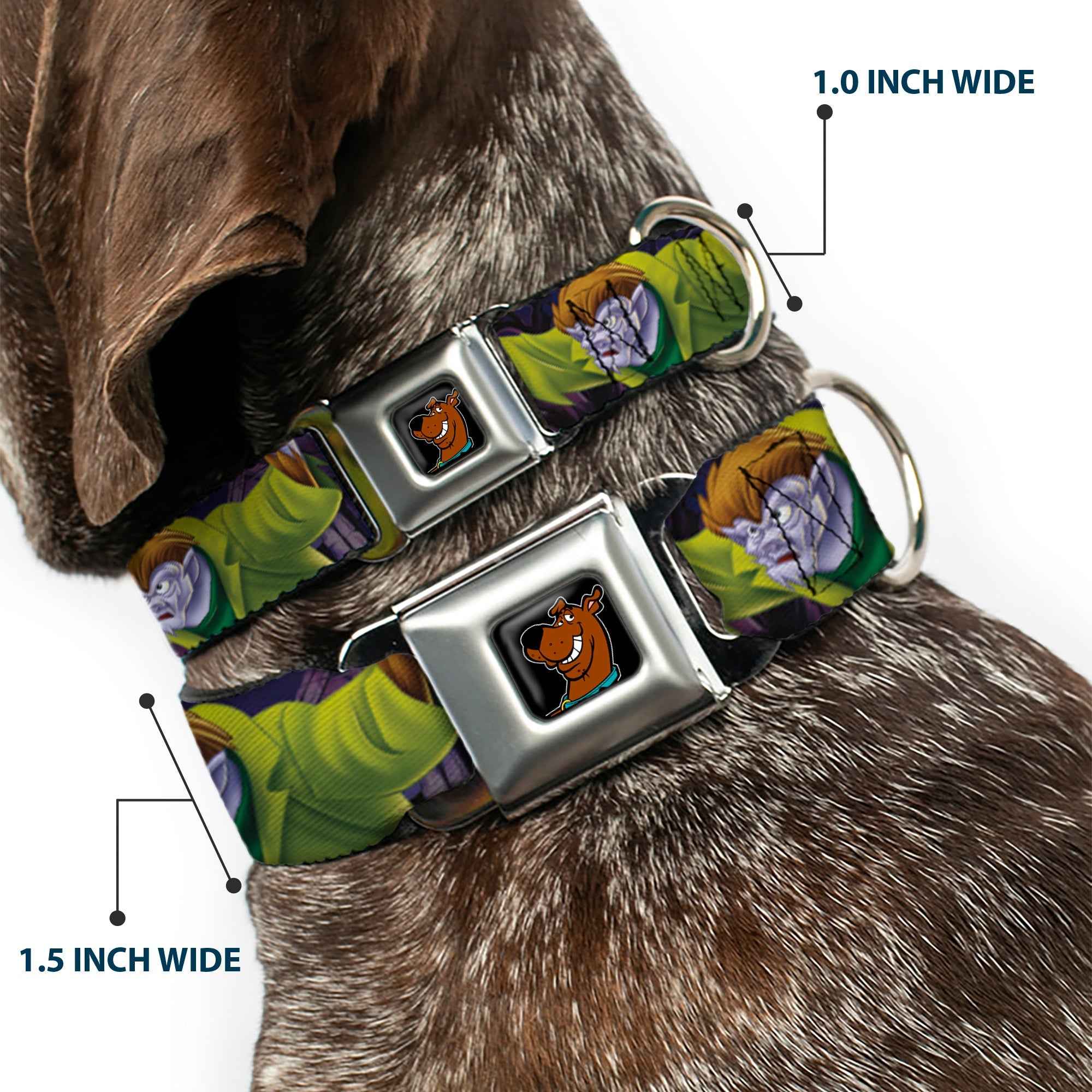 Buckle-Down Scooby Doo Face Full Color Black Seatbelt Buckle Dog Collar - Scooby & Shaggy Hugging w/Werewolf Man Purple