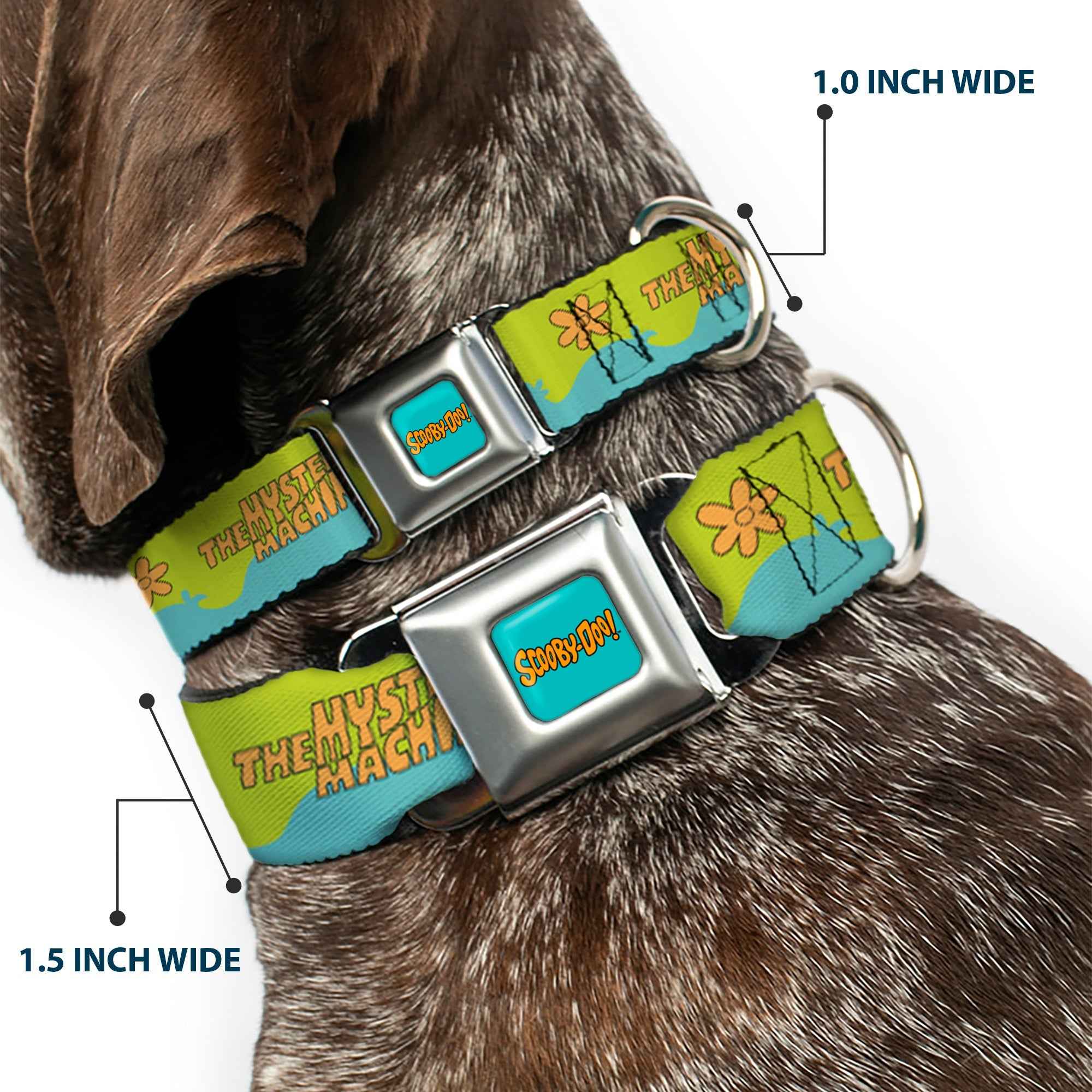Buckle-Down Scooby Doo! Text Logo Full Color Aqua/Orange Seatbelt Buckle Dog Collar - Scooby Doo The Mystery Machine Paint Job Green/Aqua/Orange