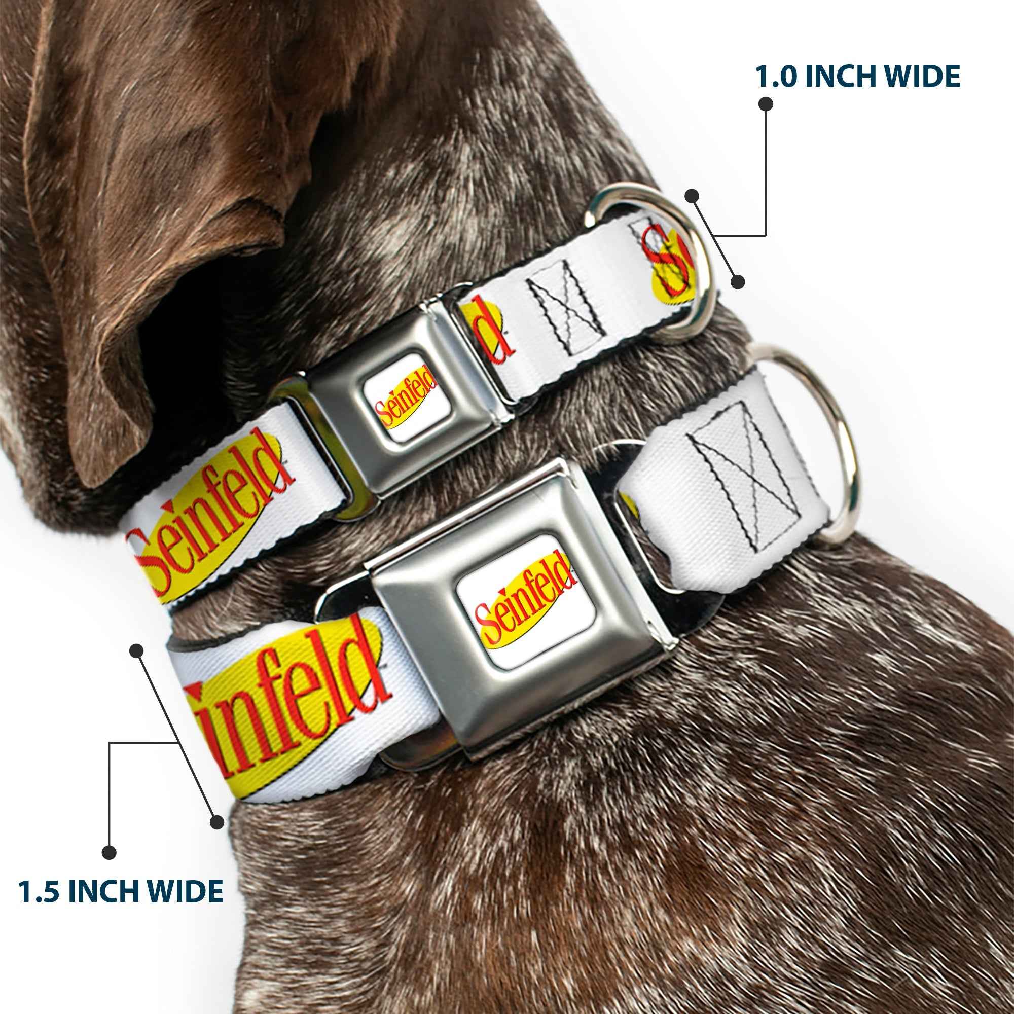 Buckle-Down Seinfeld Spotlight Logo Full Color White/Yellow/Red Seatbelt Buckle Dog Collar - Seinfeld Spotlight Logo White/Yellow/Red