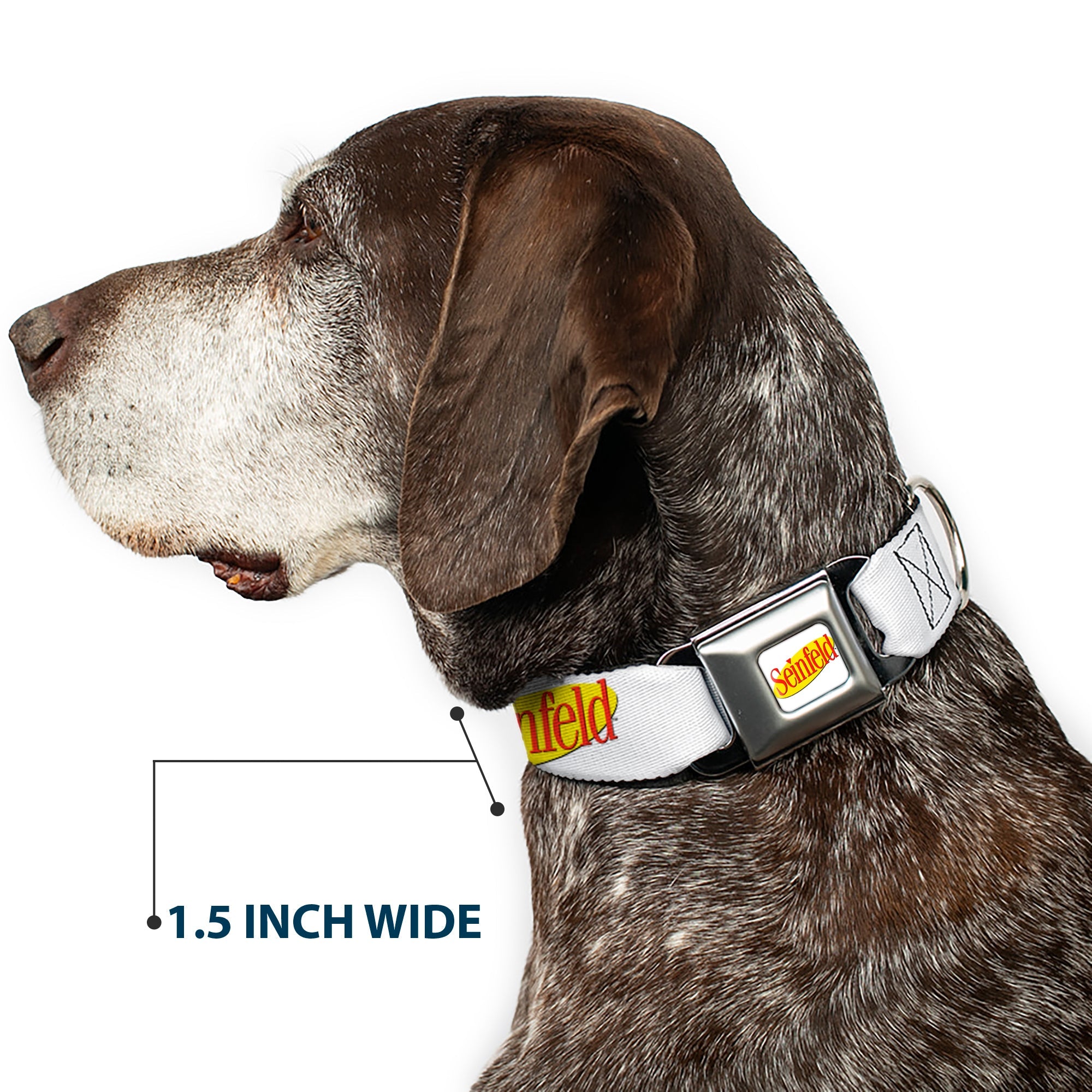 Buckle-Down Seinfeld Spotlight Logo Full Color White/Yellow/Red Seatbelt Buckle Dog Collar - Seinfeld Spotlight Logo White/Yellow/Red