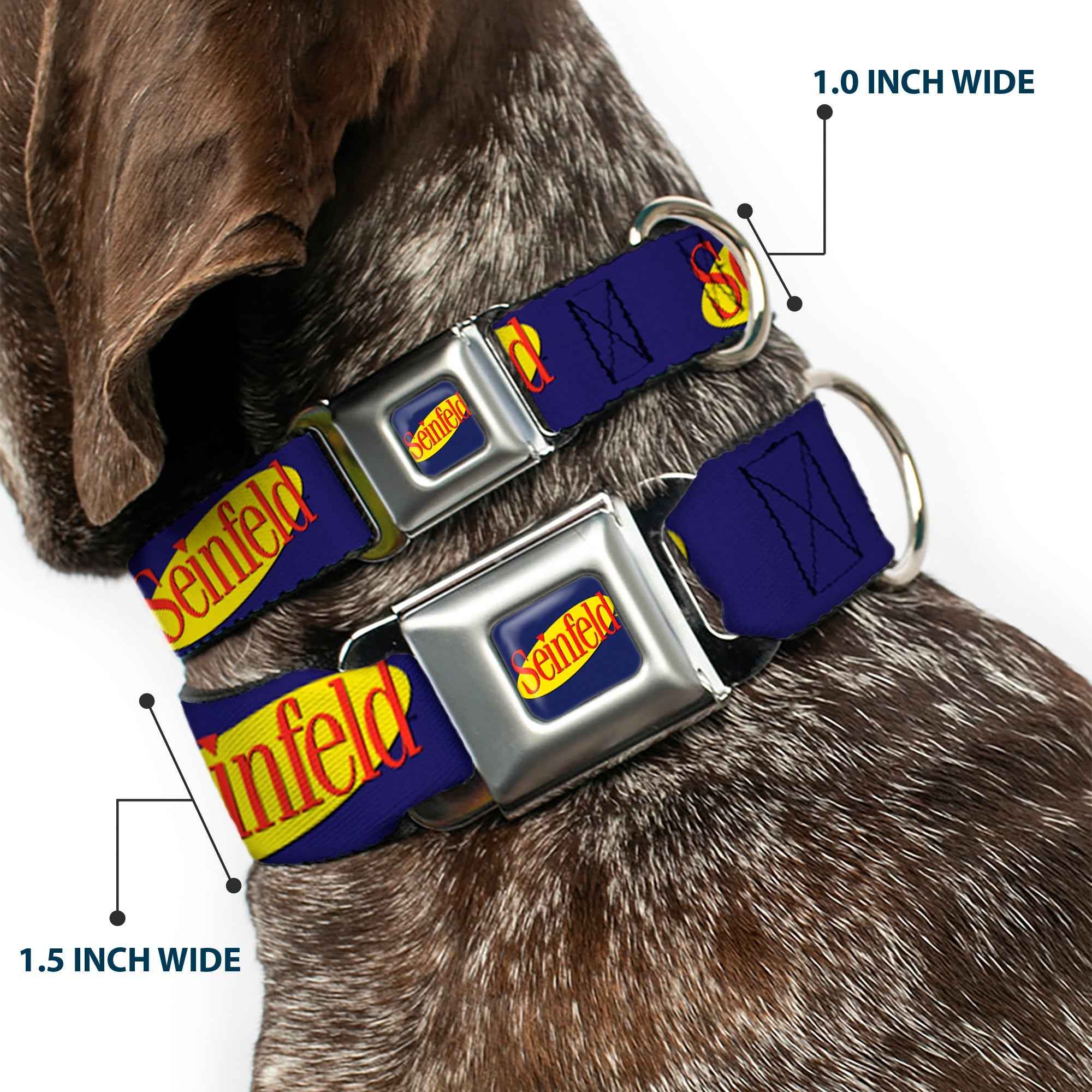 Buckle-Down Seinfeld Spotlight Logo Full Color Navy/Yellow/Red Seatbelt Buckle Dog Collar - Seinfeld Spotlight Logo Navy/Yellow/Red