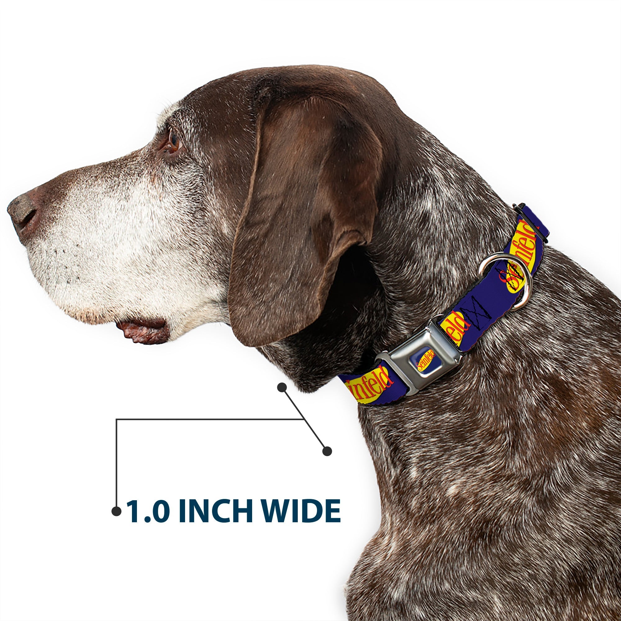 Buckle-Down Seinfeld Spotlight Logo Full Color Navy/Yellow/Red Seatbelt Buckle Dog Collar - Seinfeld Spotlight Logo Navy/Yellow/Red