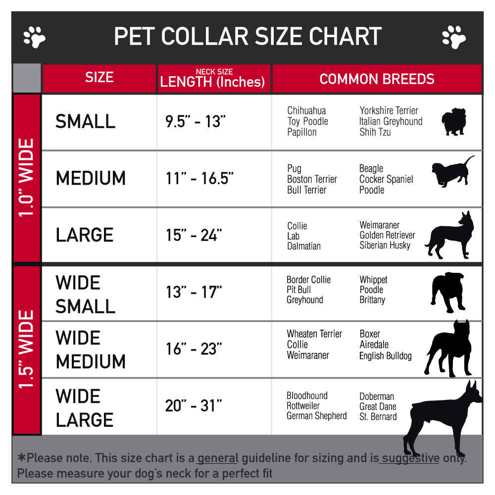 CatDog Stretch/CATDOG Logo Seatbelt Buckle Collar - CatDog Stretch/CATDOG Logo