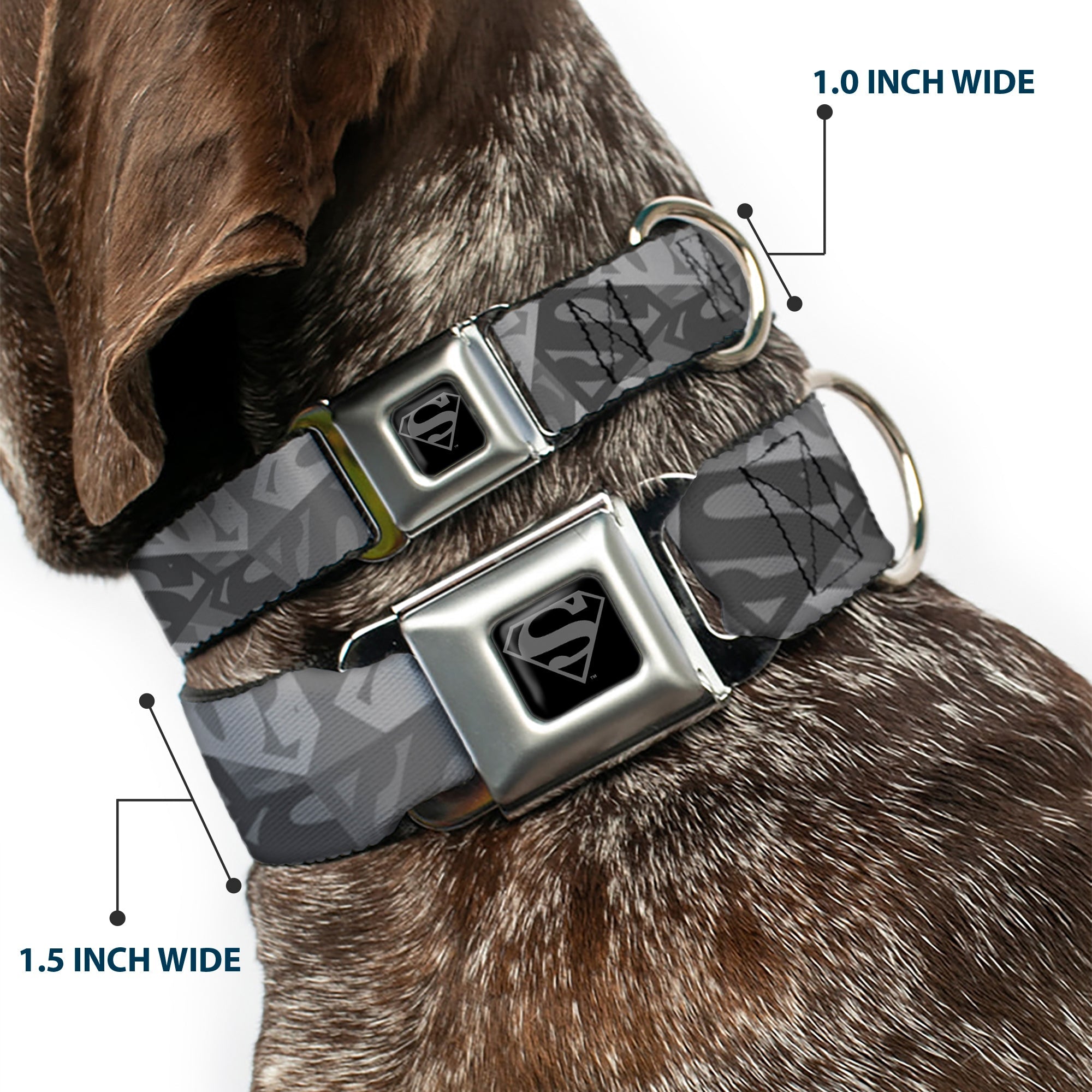 Superman Black/Silver Seatbelt Buckle Collar - Superman Shield Camouflage Grays