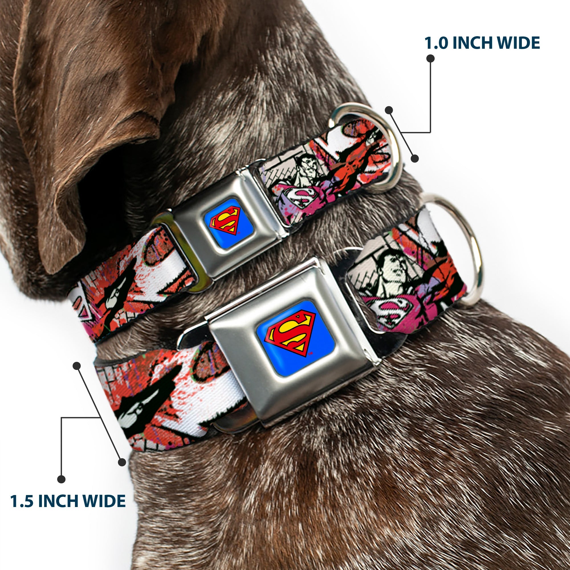 Superman Full Color Blue Seatbelt Buckle Collar - Superman Color Flying Bricks Scene