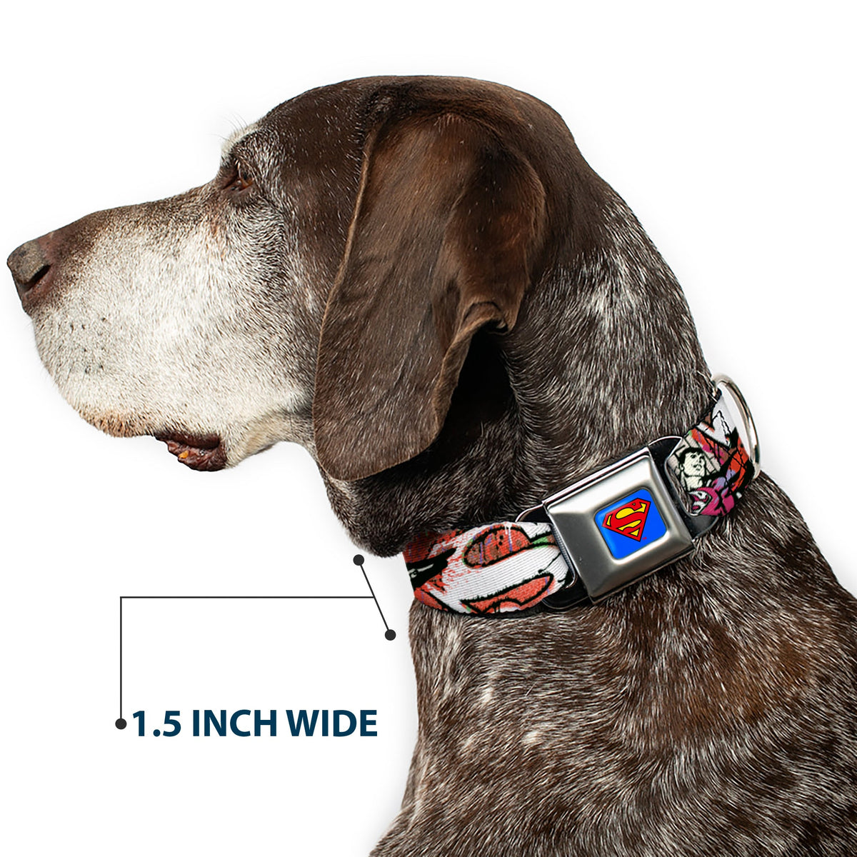 Superman Full Color Blue Seatbelt Buckle Collar - Superman Color Flying Bricks Scene