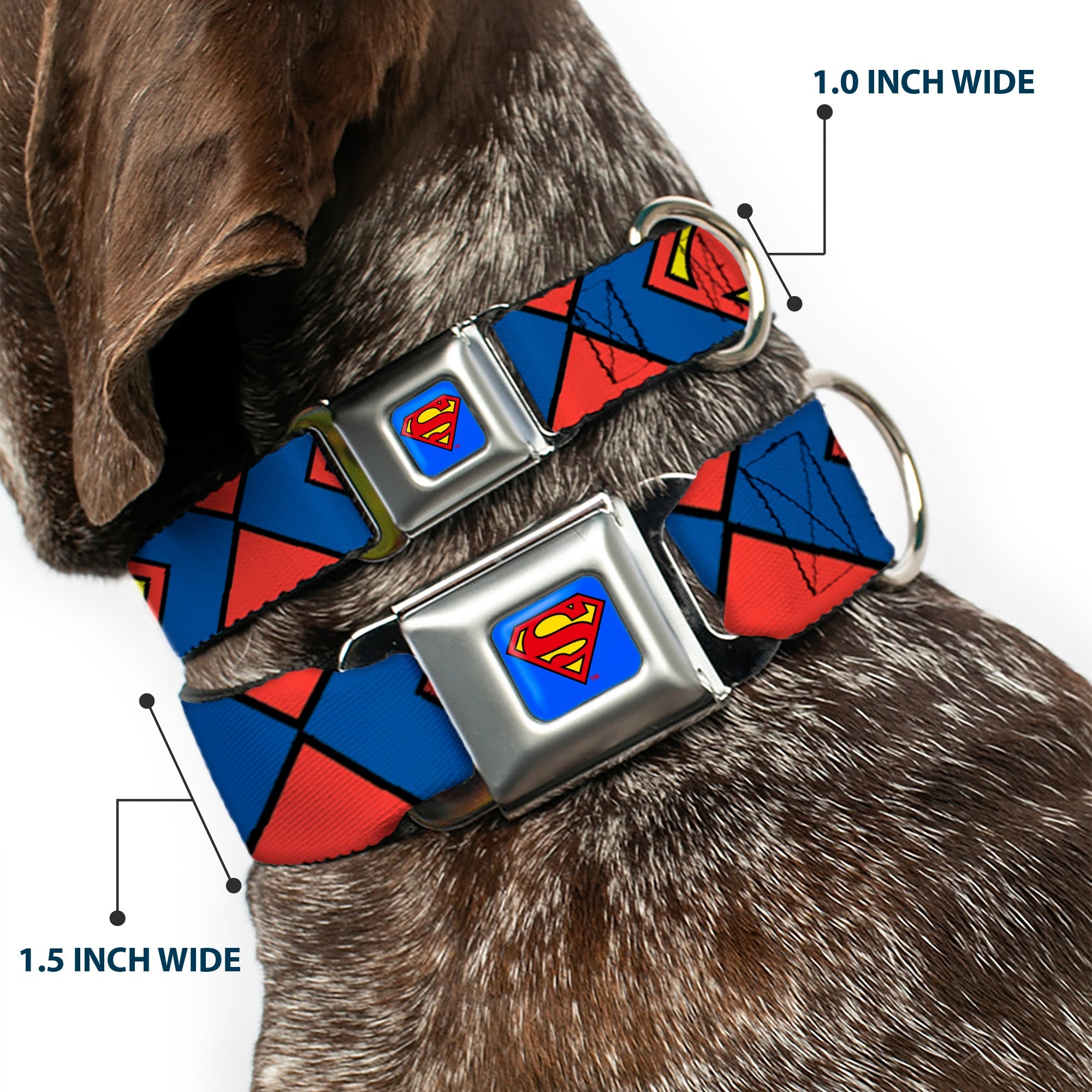Superman Blue Seatbelt Buckle Collar - Superman Shield CLOSE-UP Blue/Red/Yellow