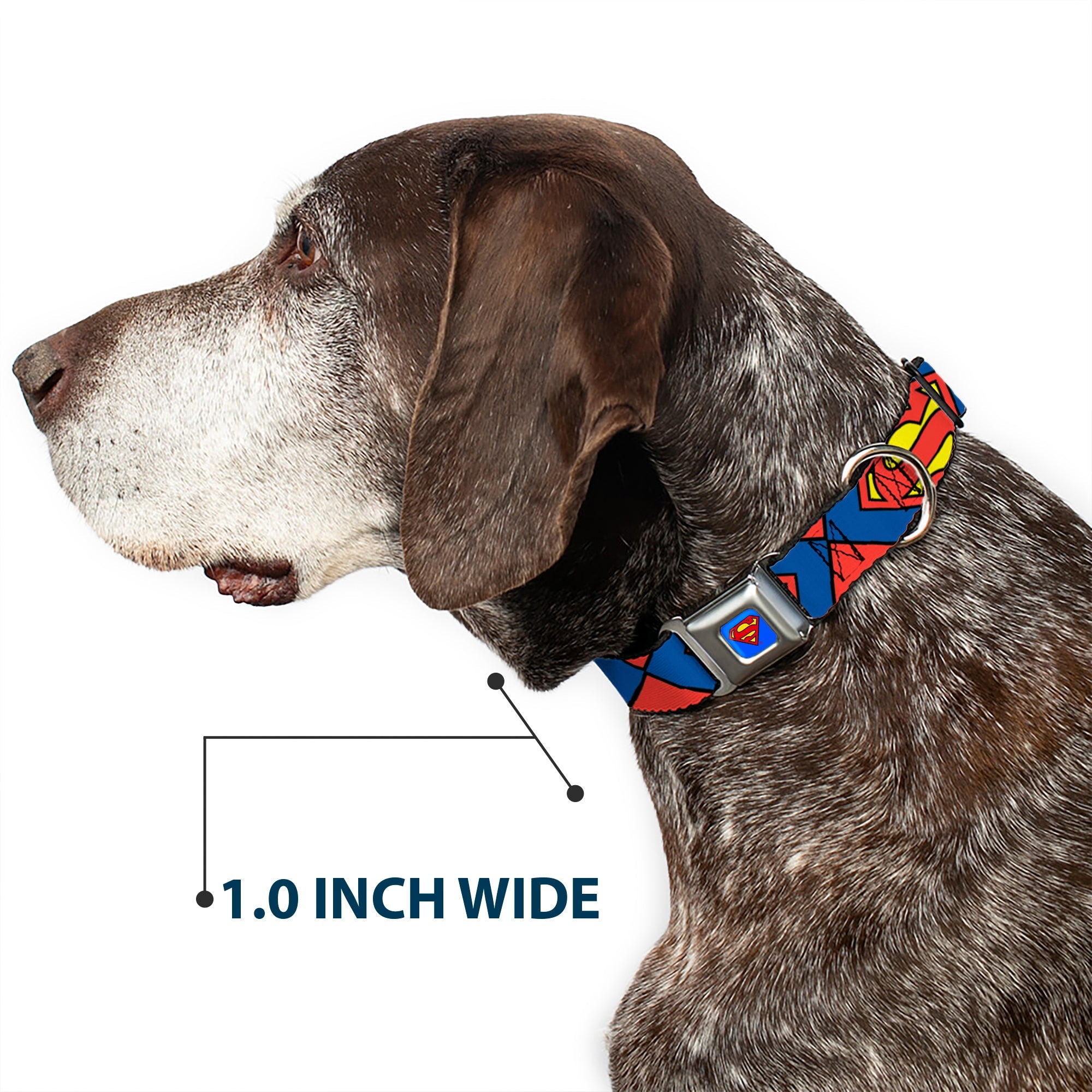 Superman Blue Seatbelt Buckle Collar - Superman Shield CLOSE-UP Blue/Red/Yellow