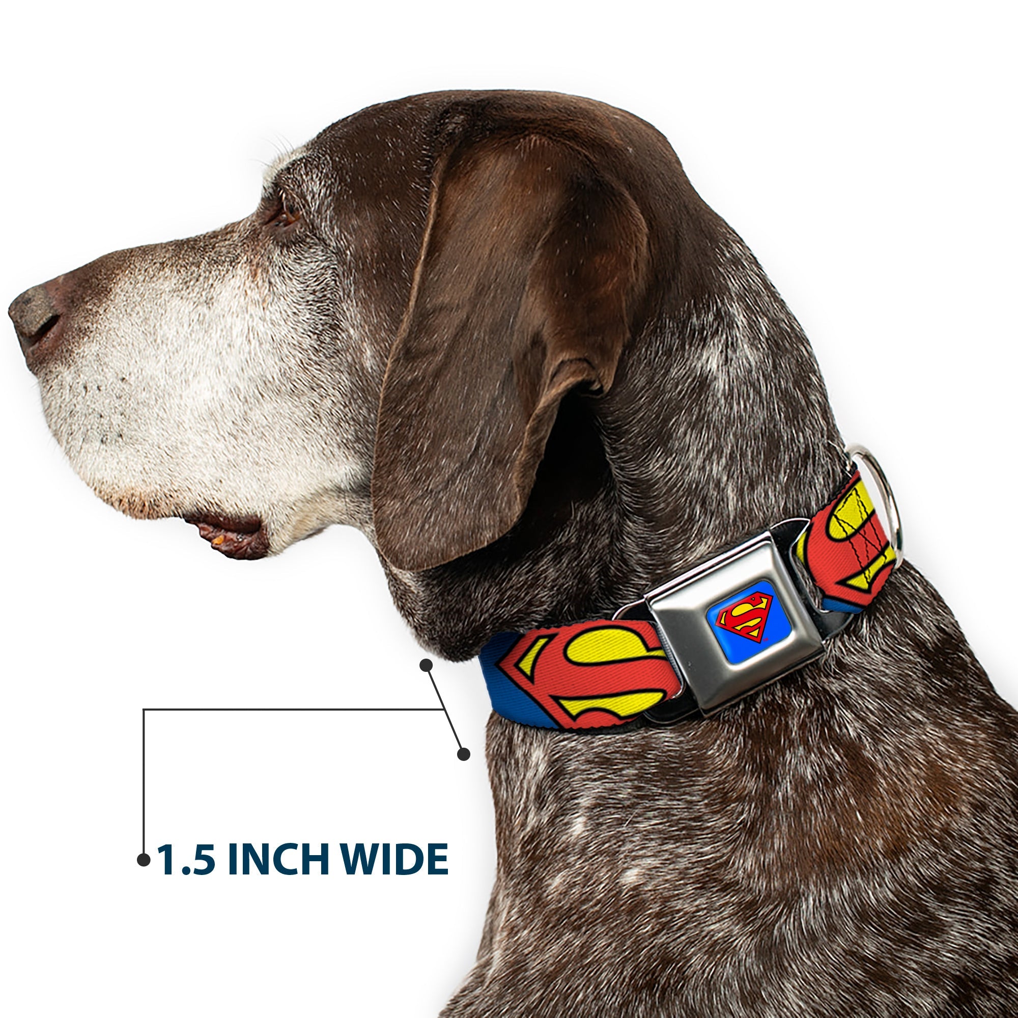 Superman Blue Seatbelt Buckle Collar - Jagged Superman Shield CLOSE-UP Yellow/Blue/Red