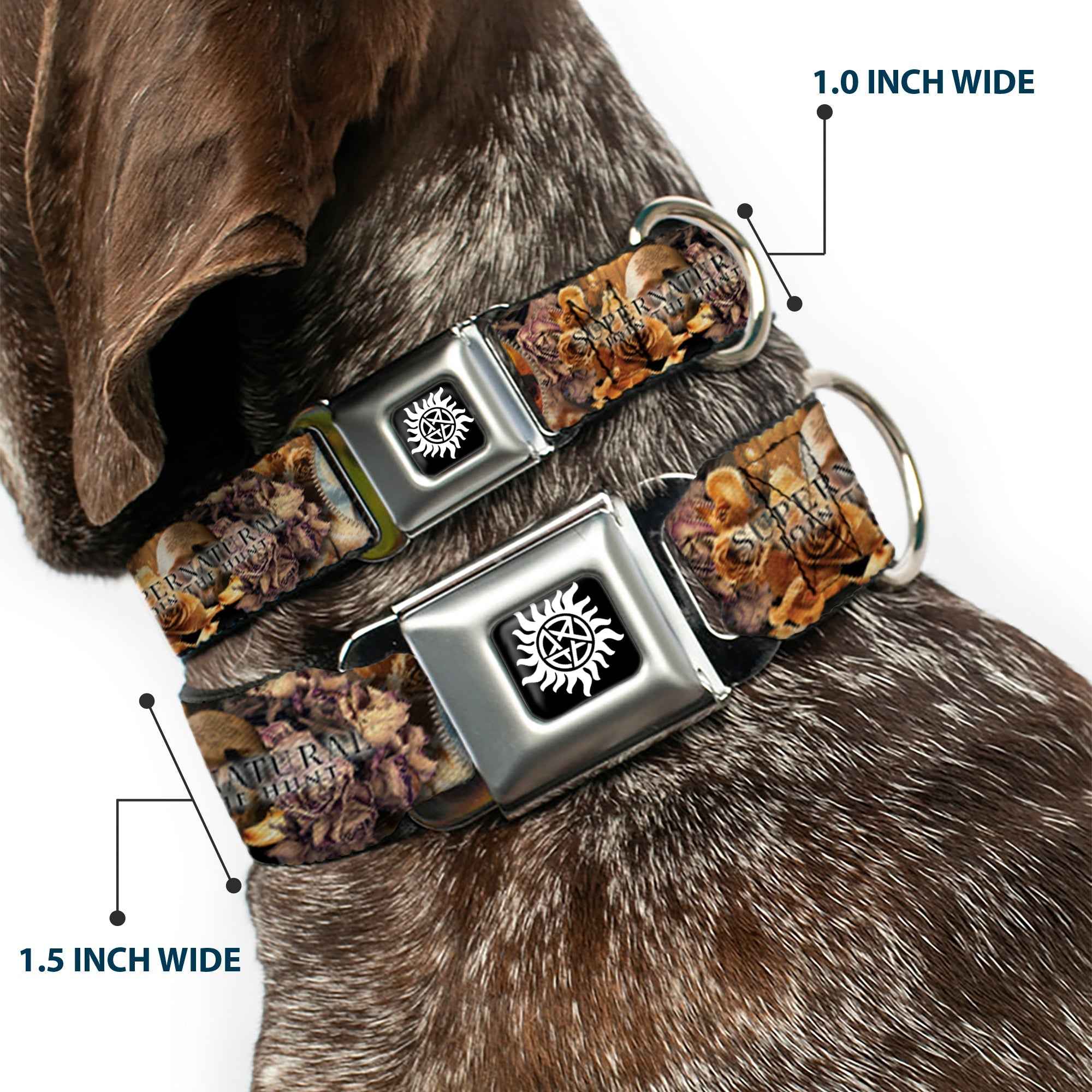 Buckle-Down Winchester Logo Full Color Black/White Seatbelt Buckle Dog Collar - Supernatural 4-Character Saintly Icons/Skull & Roses