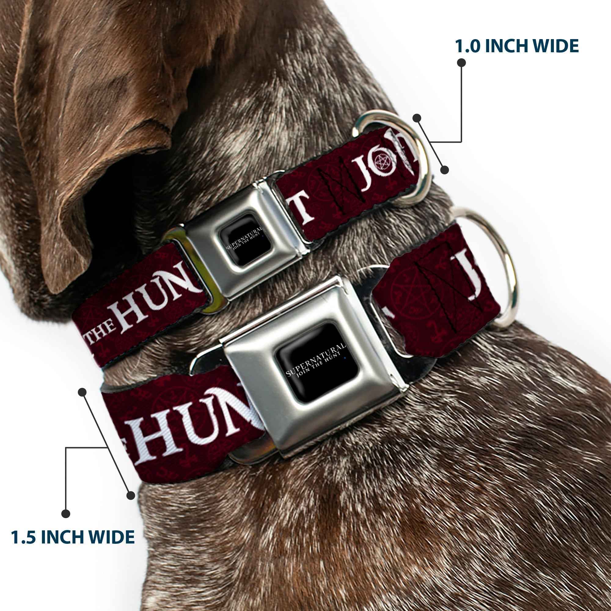 Buckle-Down Supernatural-Join The Hunt Full Color Black/White Seatbelt Buckle Dog Collar - Supernatural Join The Hunt/Symbols Scattered Reds/White