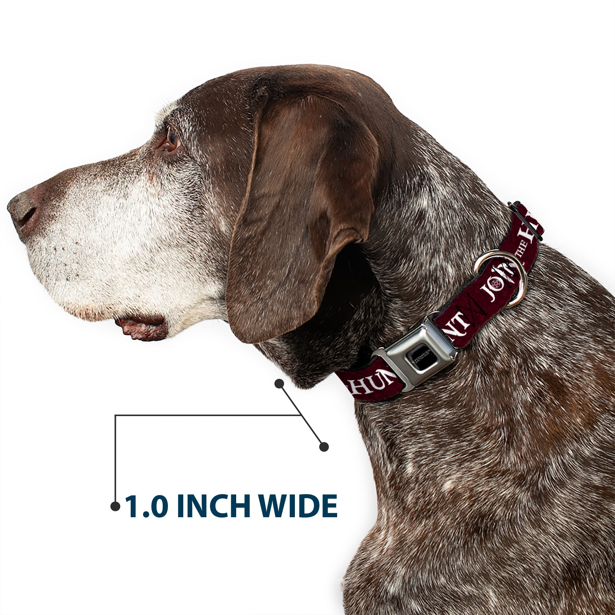 Buckle-Down Supernatural-Join The Hunt Full Color Black/White Seatbelt Buckle Dog Collar - Supernatural Join The Hunt/Symbols Scattered Reds/White