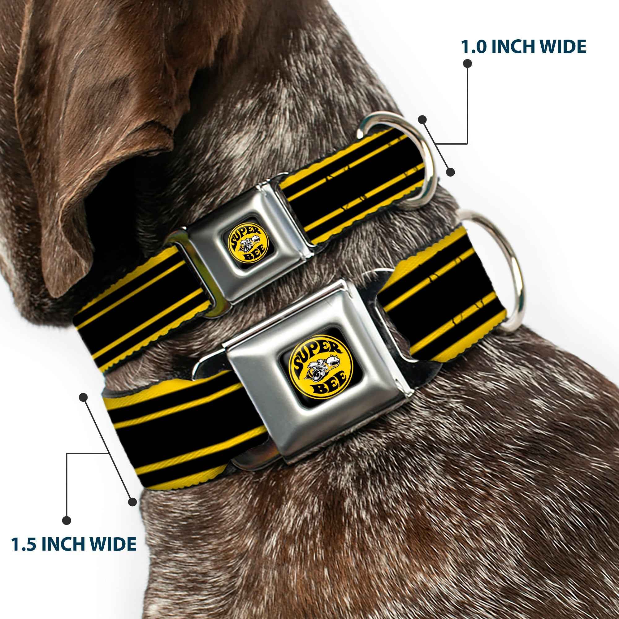 Buckle-Down Super Bee Logo Full Color Black/Yellow/White Seatbelt Buckle Dog Collar - Super Bee Logo/Stripes Black/Yellow/White